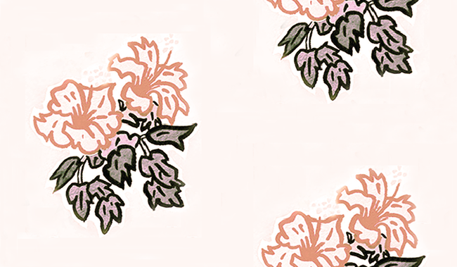 Hibiscus a lt terra-4.33.png