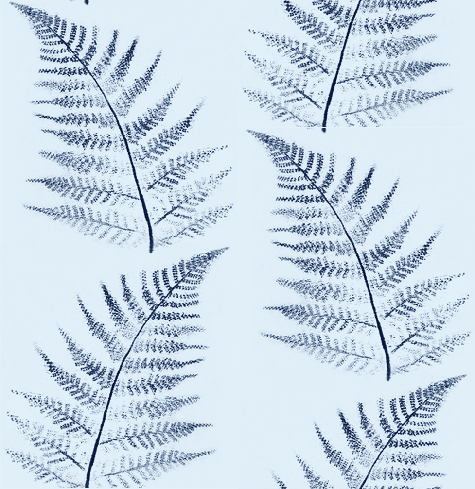Fern in bronze-6.5 NEW test4.png