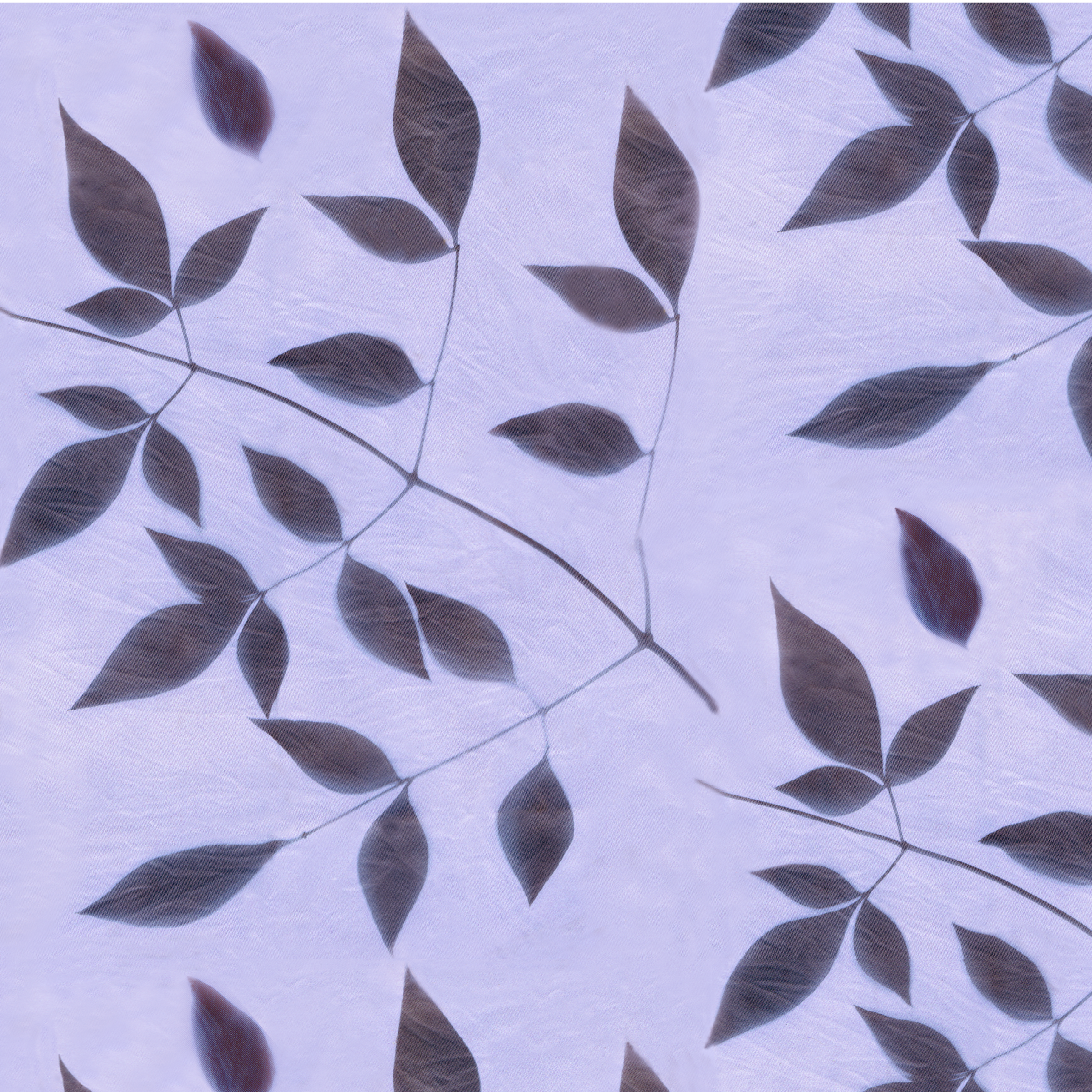 Nandina plum rpt 10.4 memo.png