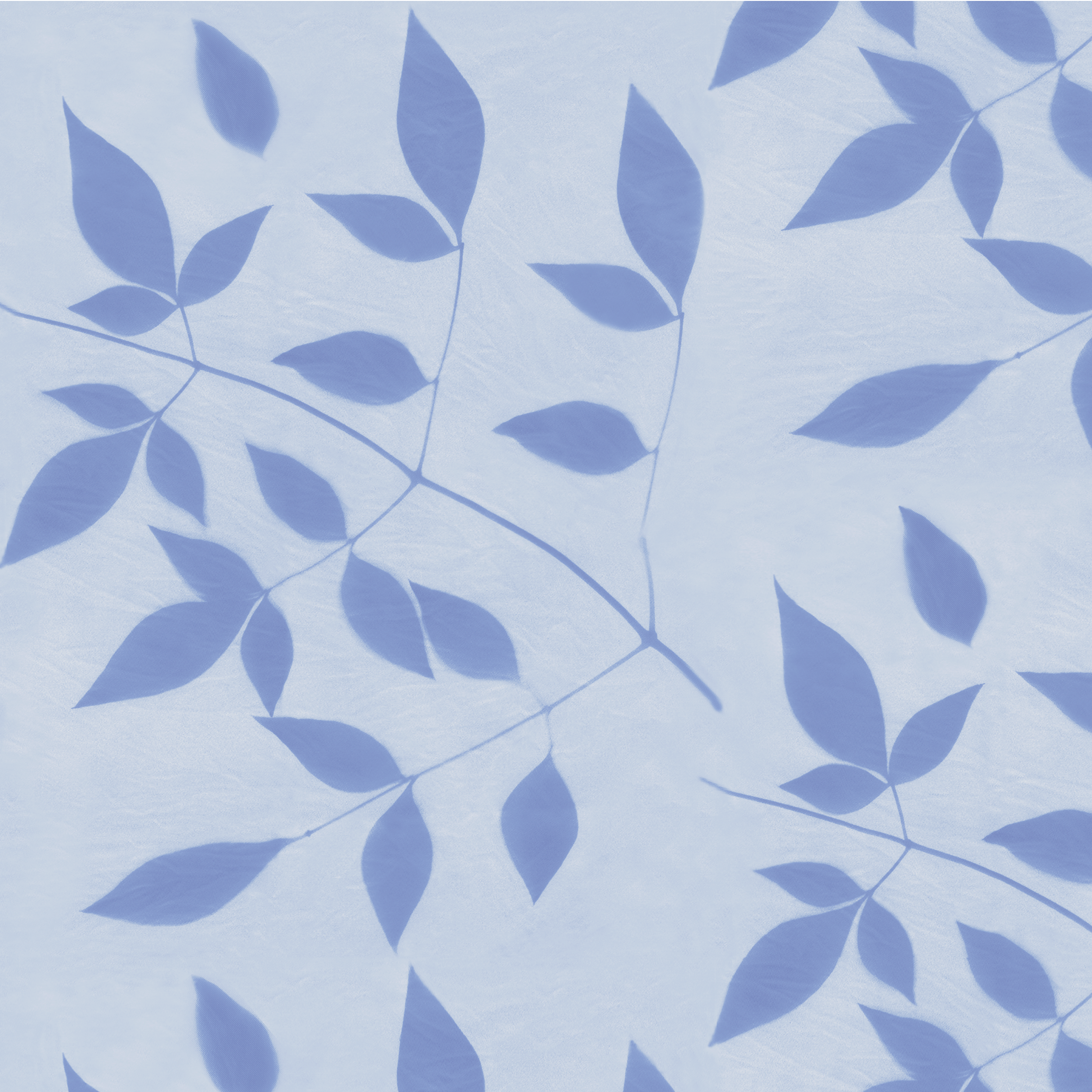 Nandina lt bl tonal rpt 10.4 wm memo.png