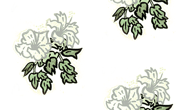 Hibiscus a sage-4.33.png