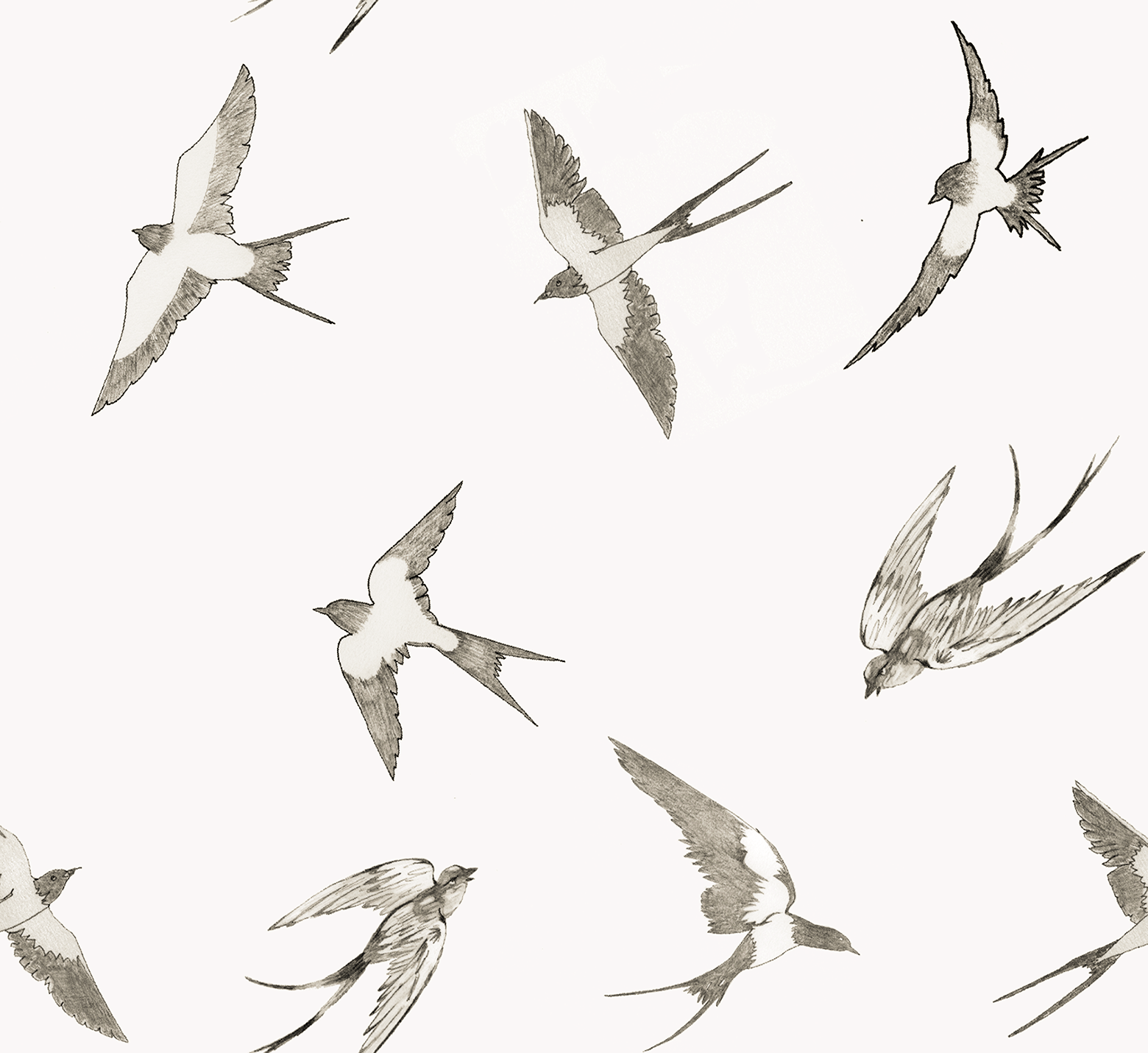 Swallows sepia WP 10.4 graph.png