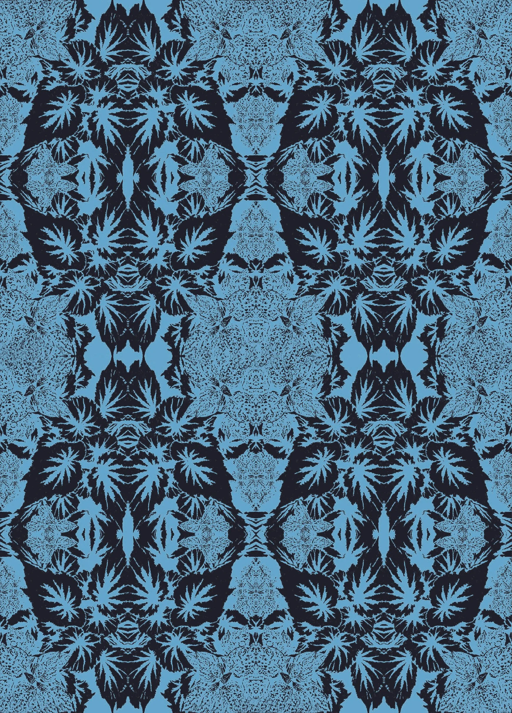 Begonia Atlantic blue 14 11.6.jpg