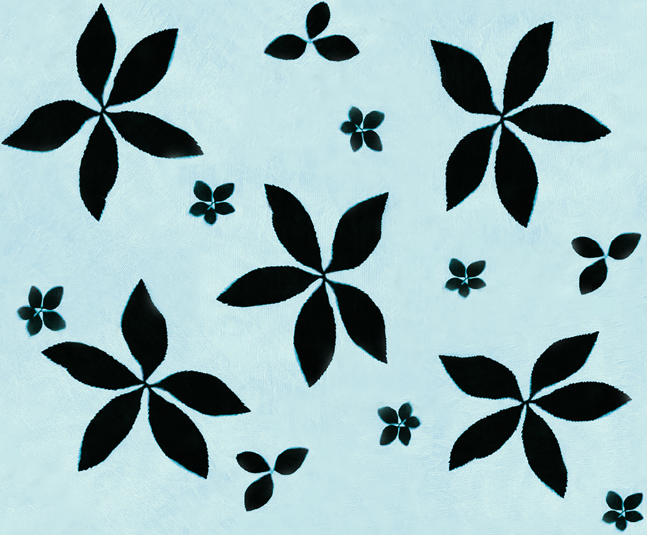 Virginia Aqua 8.5 smooth.png