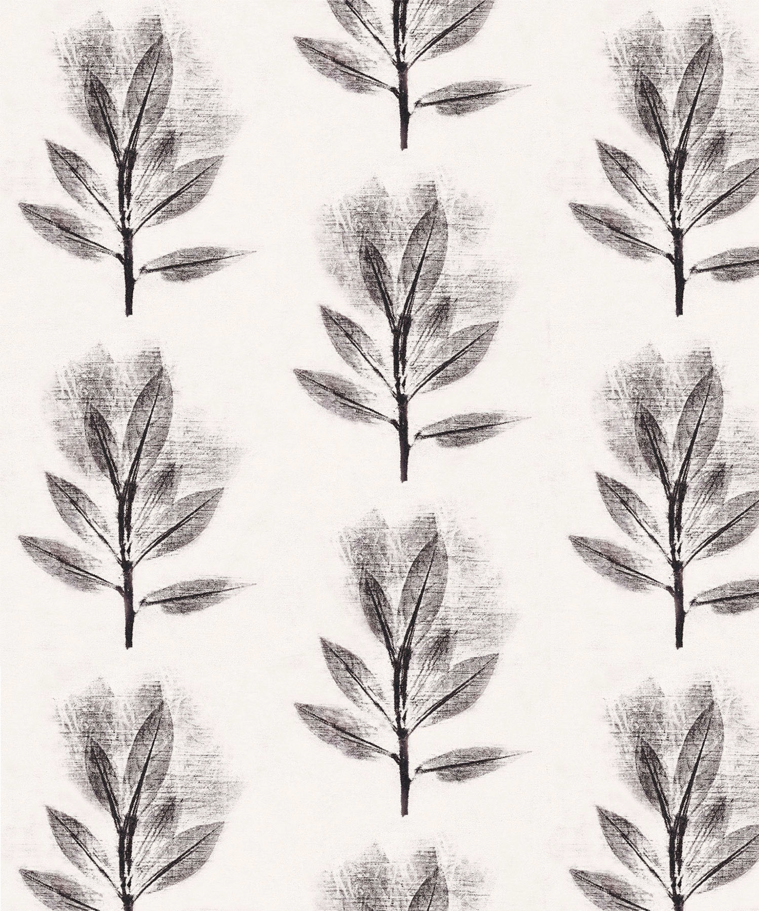 Mountain laurel lt BW 7.25 10x12.png