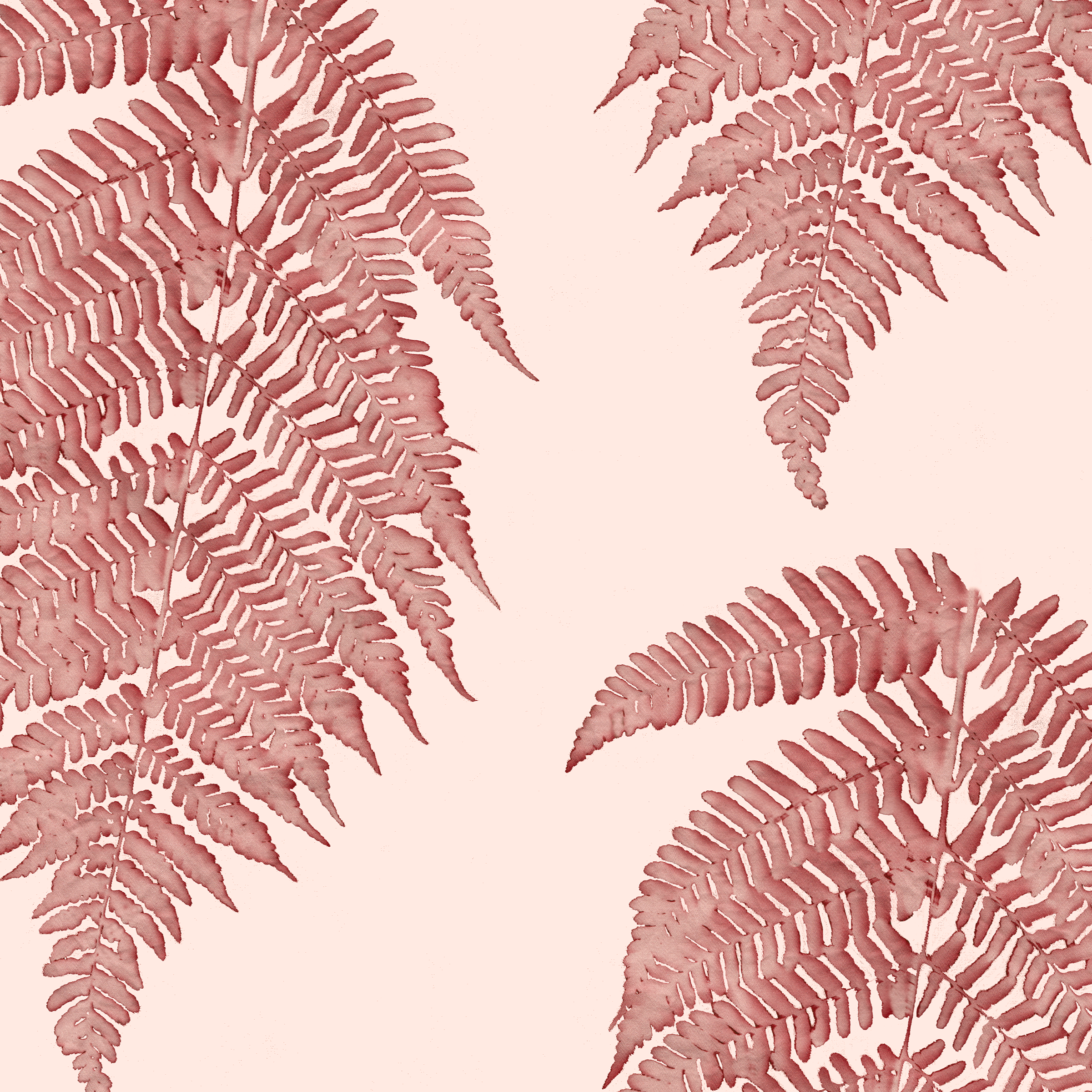 Single fern mulb 10.4 memo sep.png