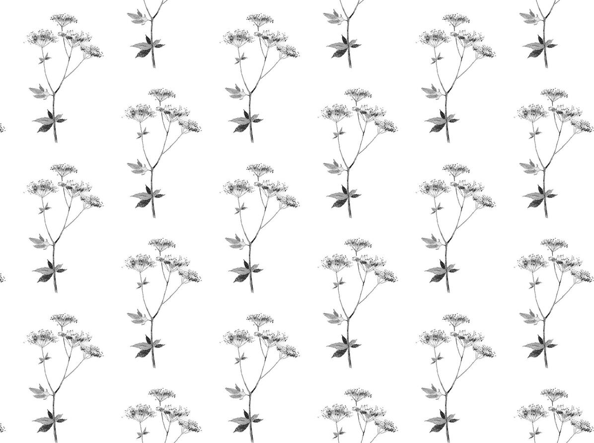 Lace graphite tile 2 F.png