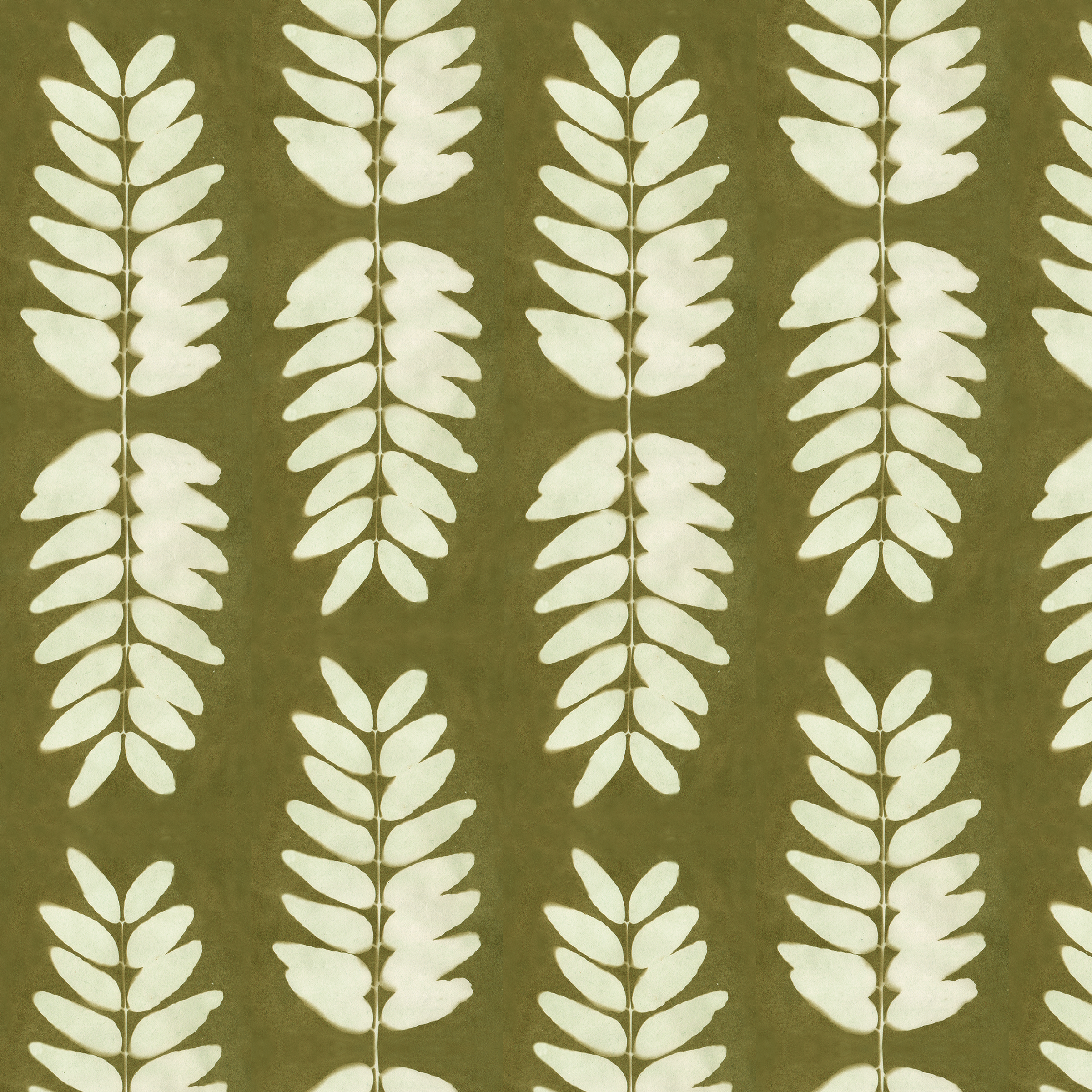 Honey locust dk olive 3.71 memo.png
