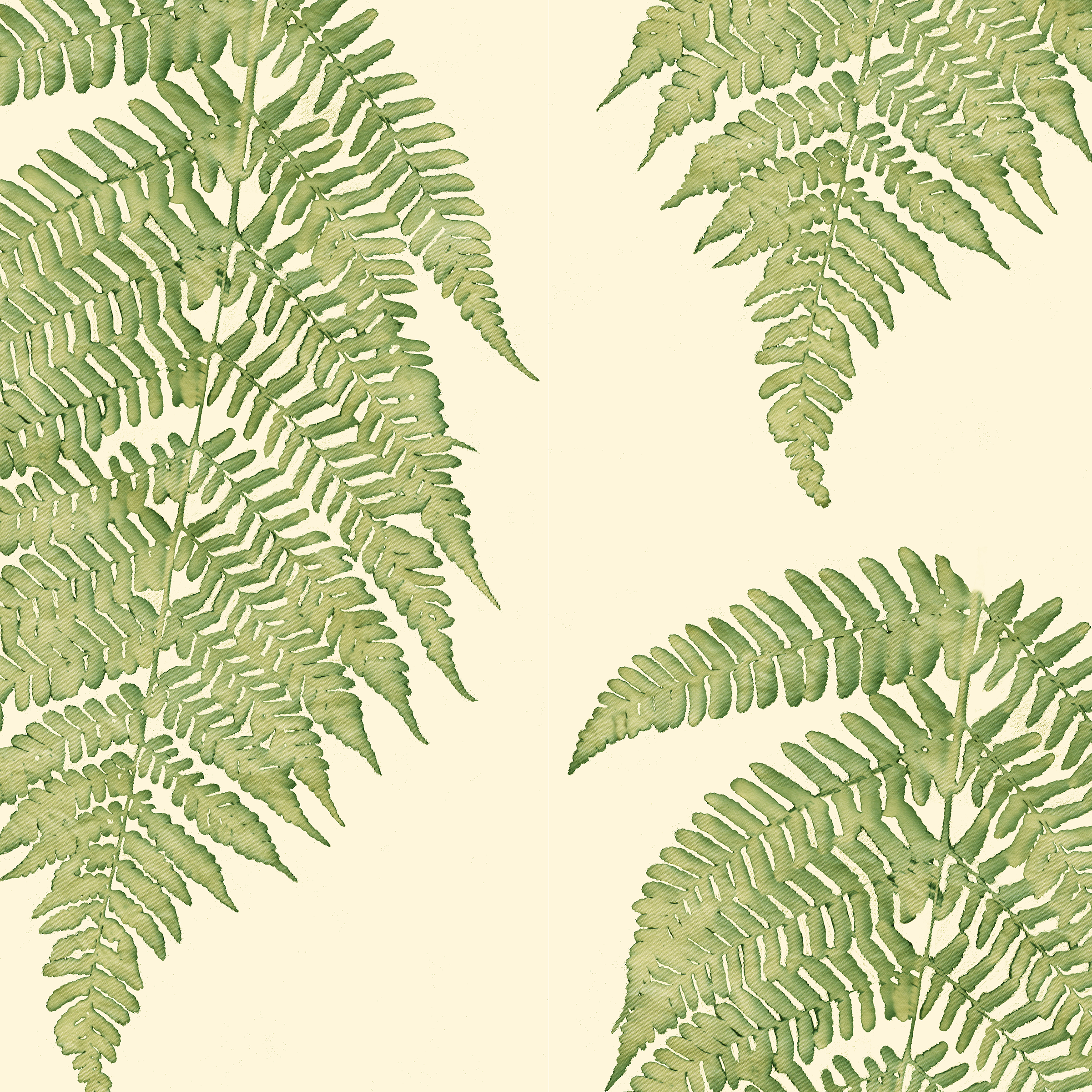 Single fern dp grnb10.4 YES memo.png