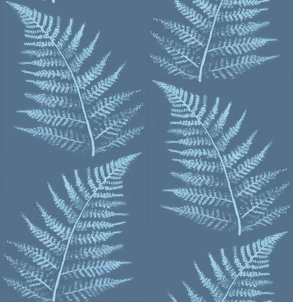 Fern in bronze-6.5 NEW test.png