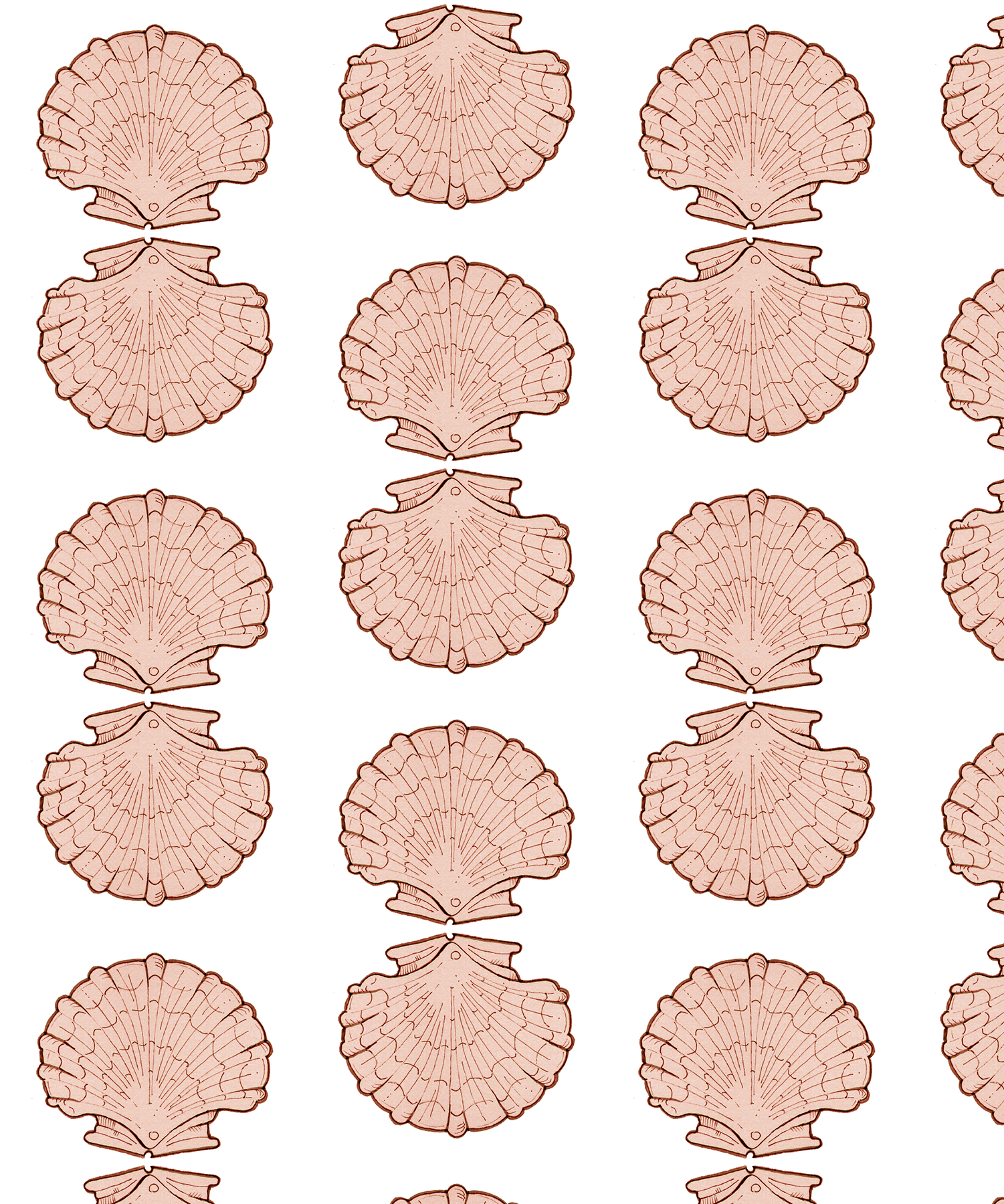 scallop rpt-sample-01.png