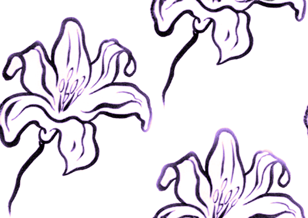 day lily a iris 4.png