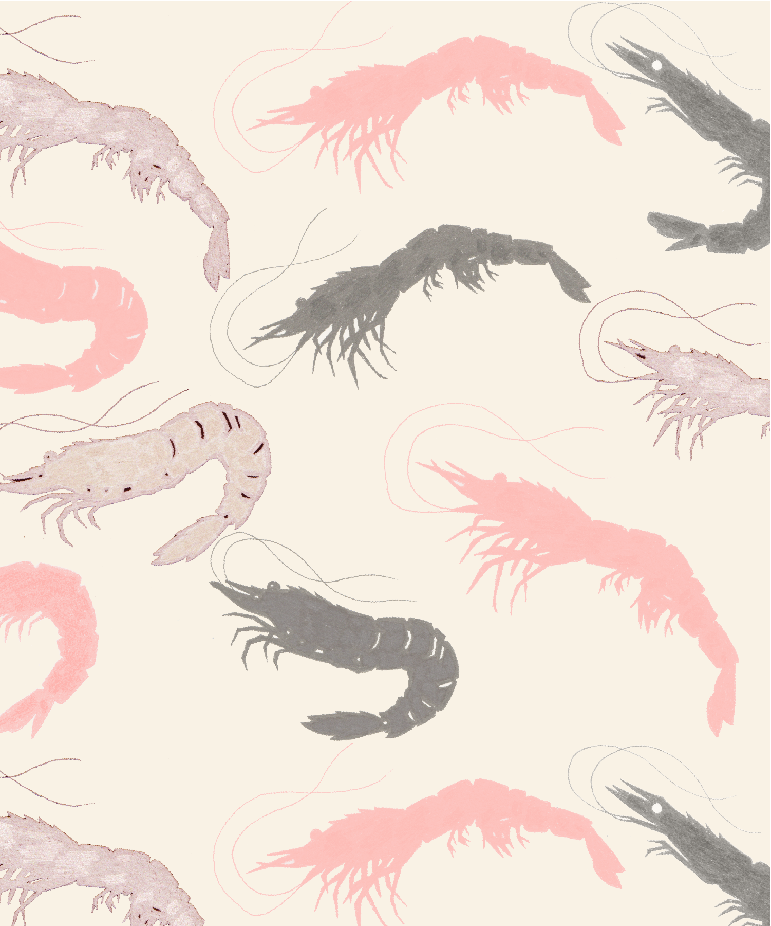 Shrimp rpt-01 sample-01.png