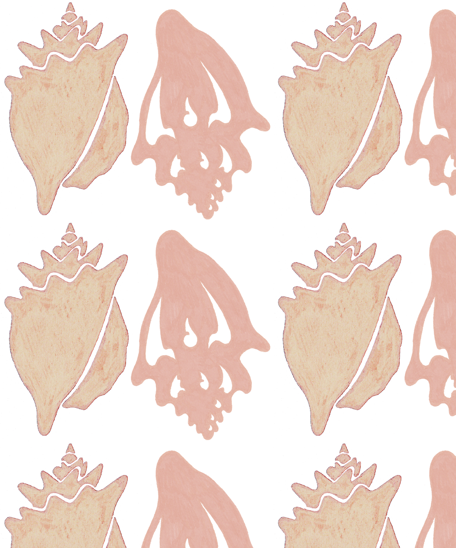 Conchs F 6 sample.png