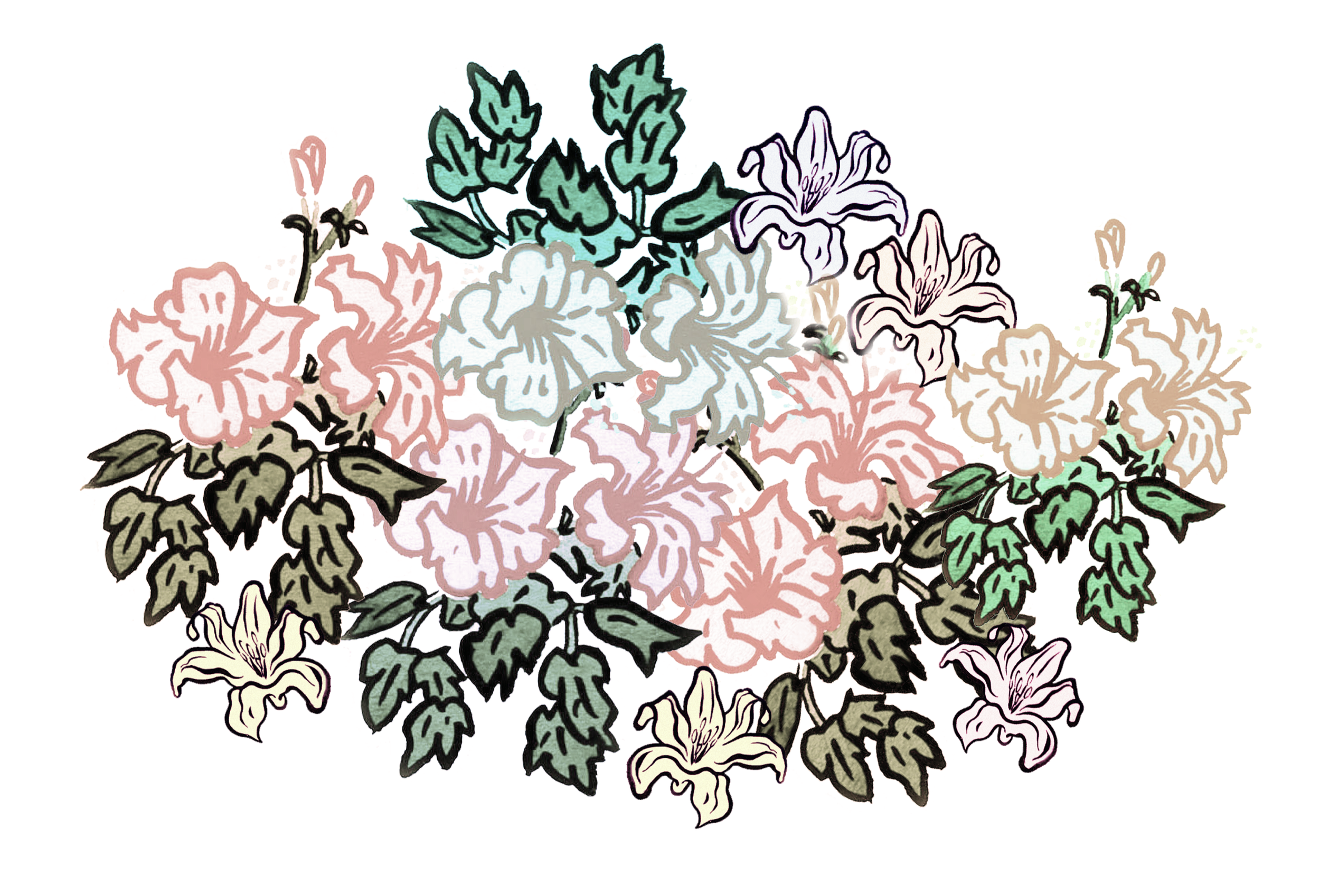 Hib surround aa pale.png