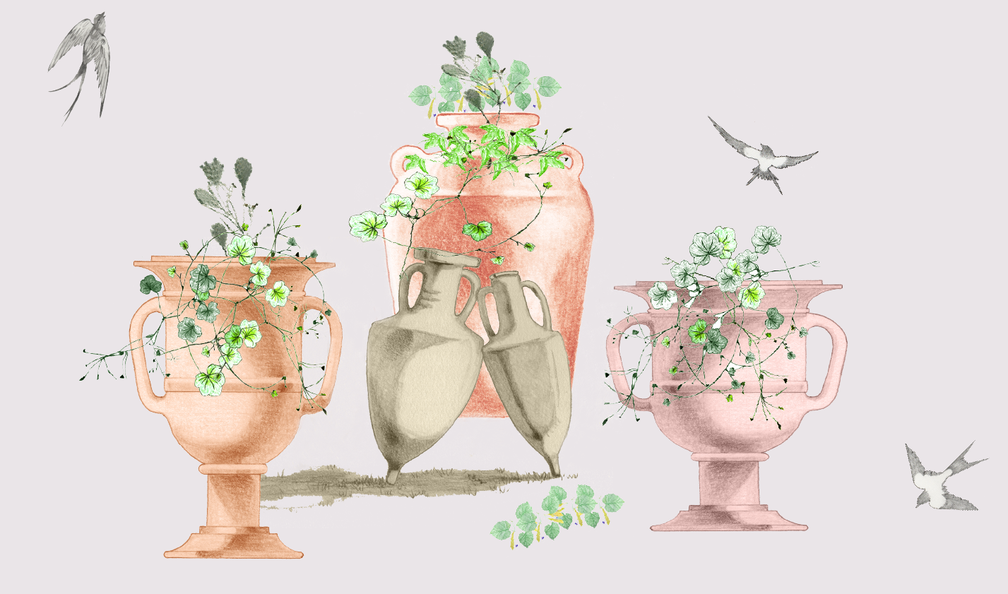 Pots and swallows Final-01.png