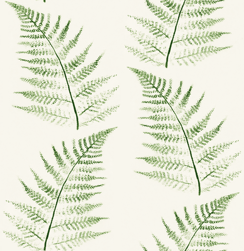 Fern in  green-6.5.png