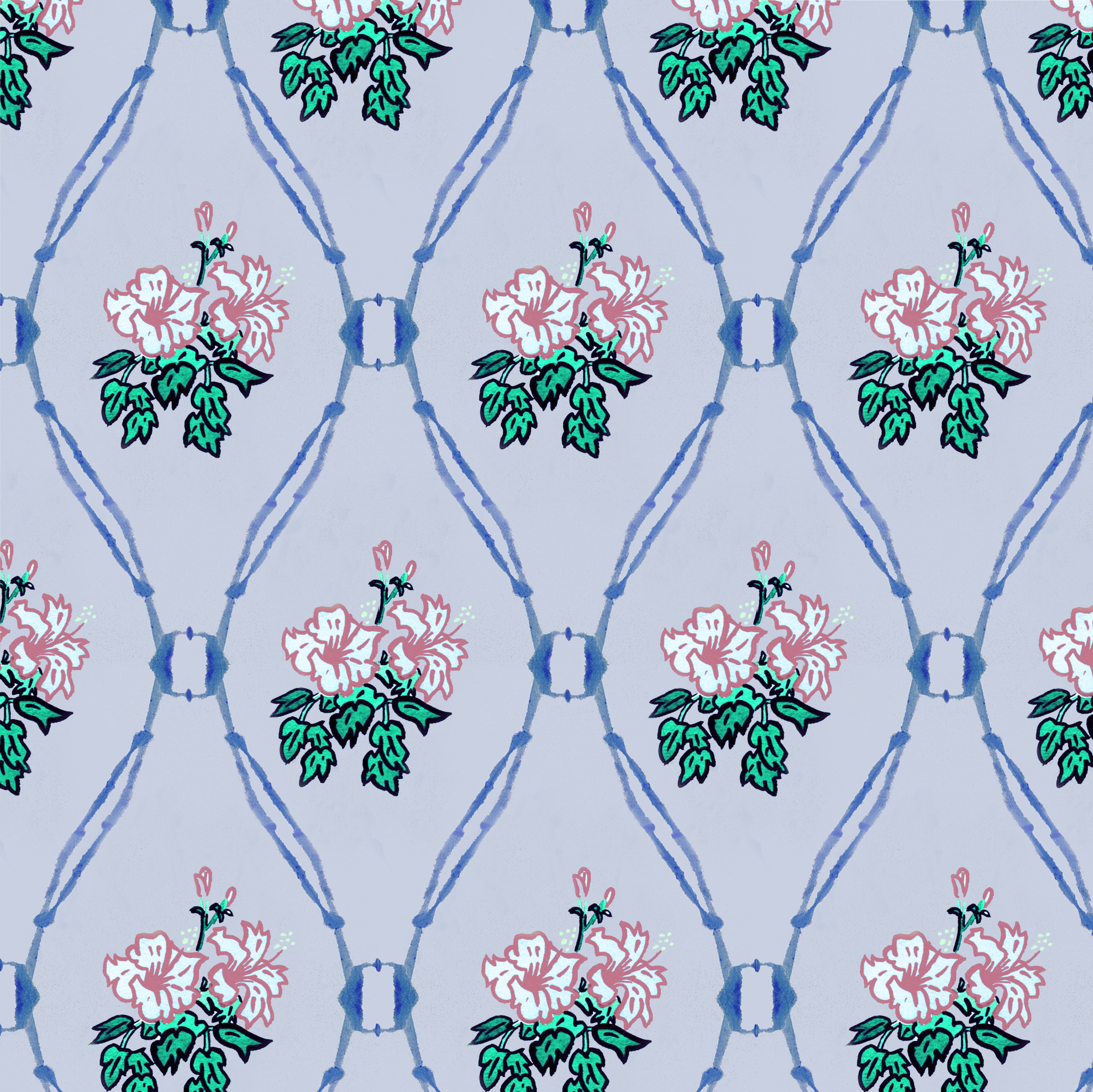 HS F Hib col yes.png