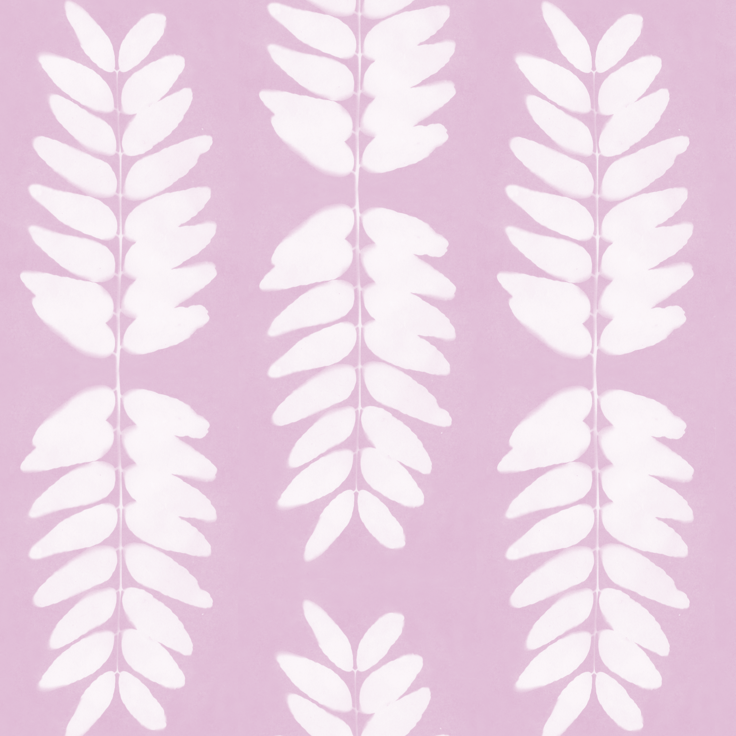 Honey locust br plum 5.2 memo.png