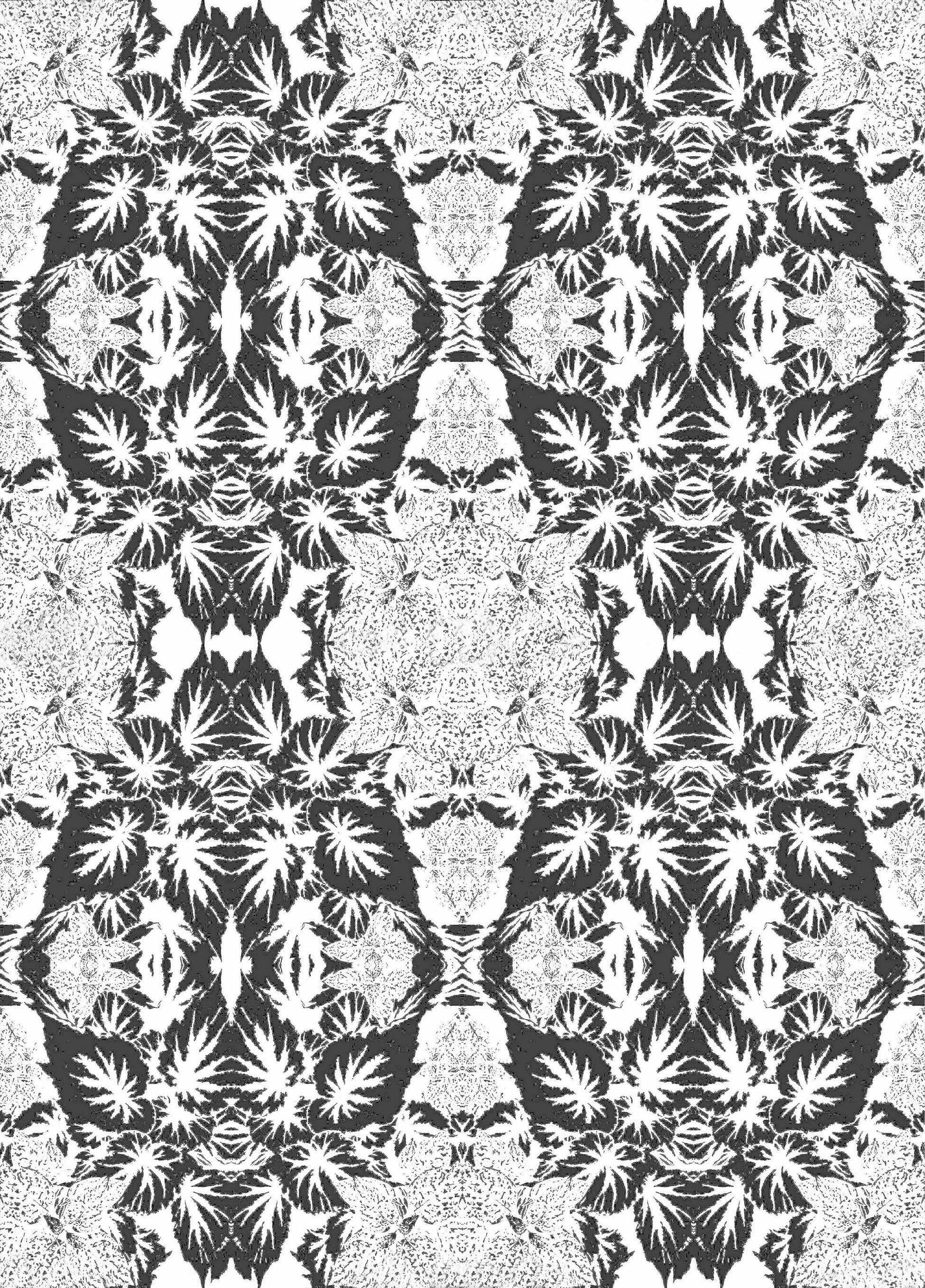 Begonia BW 13 10.4.png