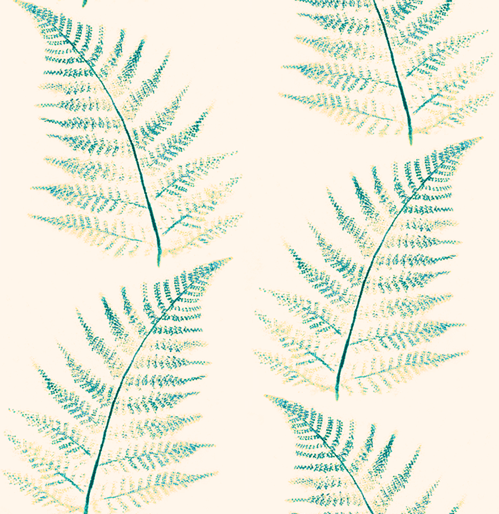 Fern warm sage-6.5.png