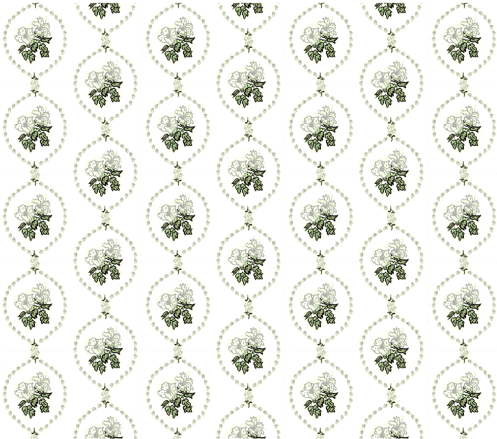 Hibiscus cameo sage 5.78 tile.png
