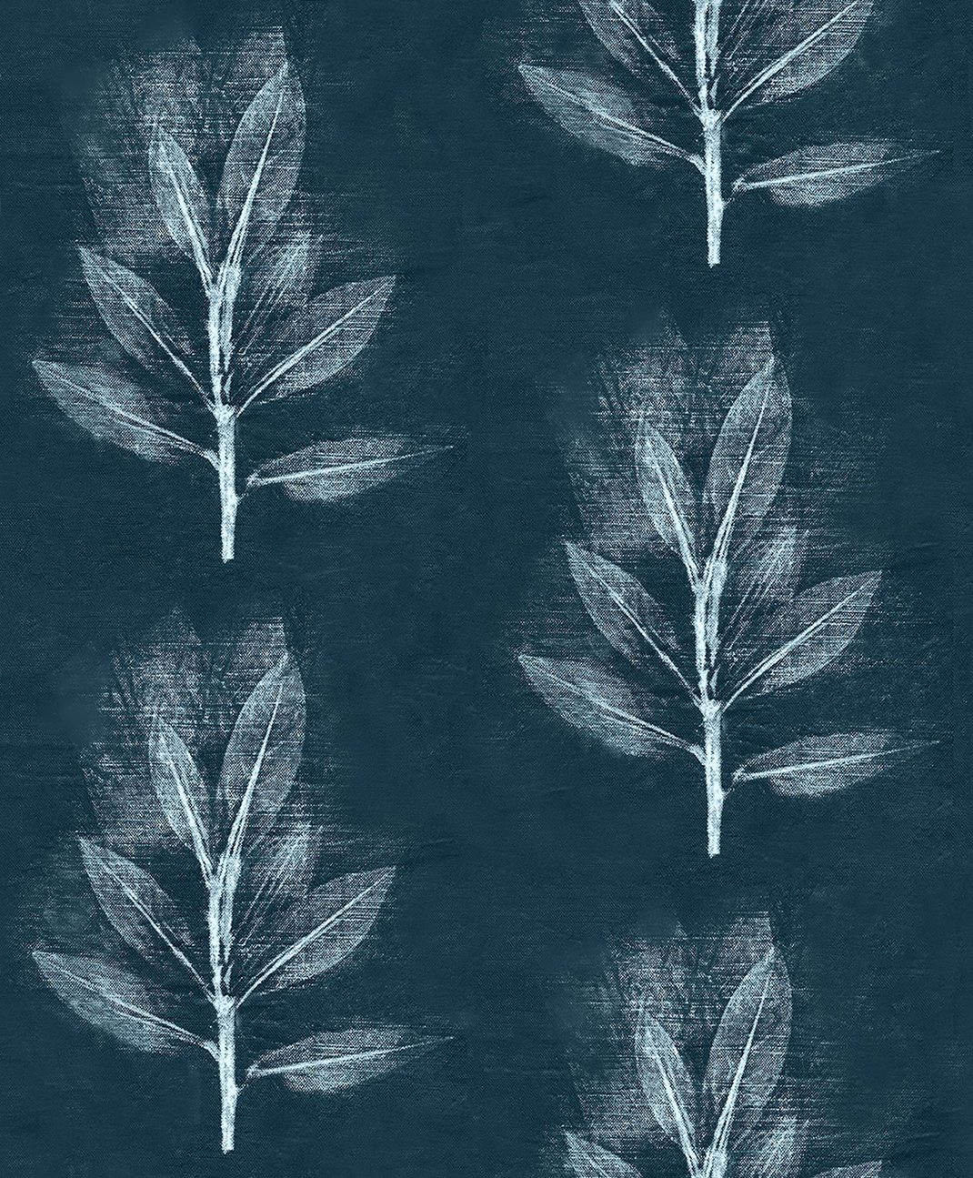 Mountain laurel midnight 7.13 Phoenix.png