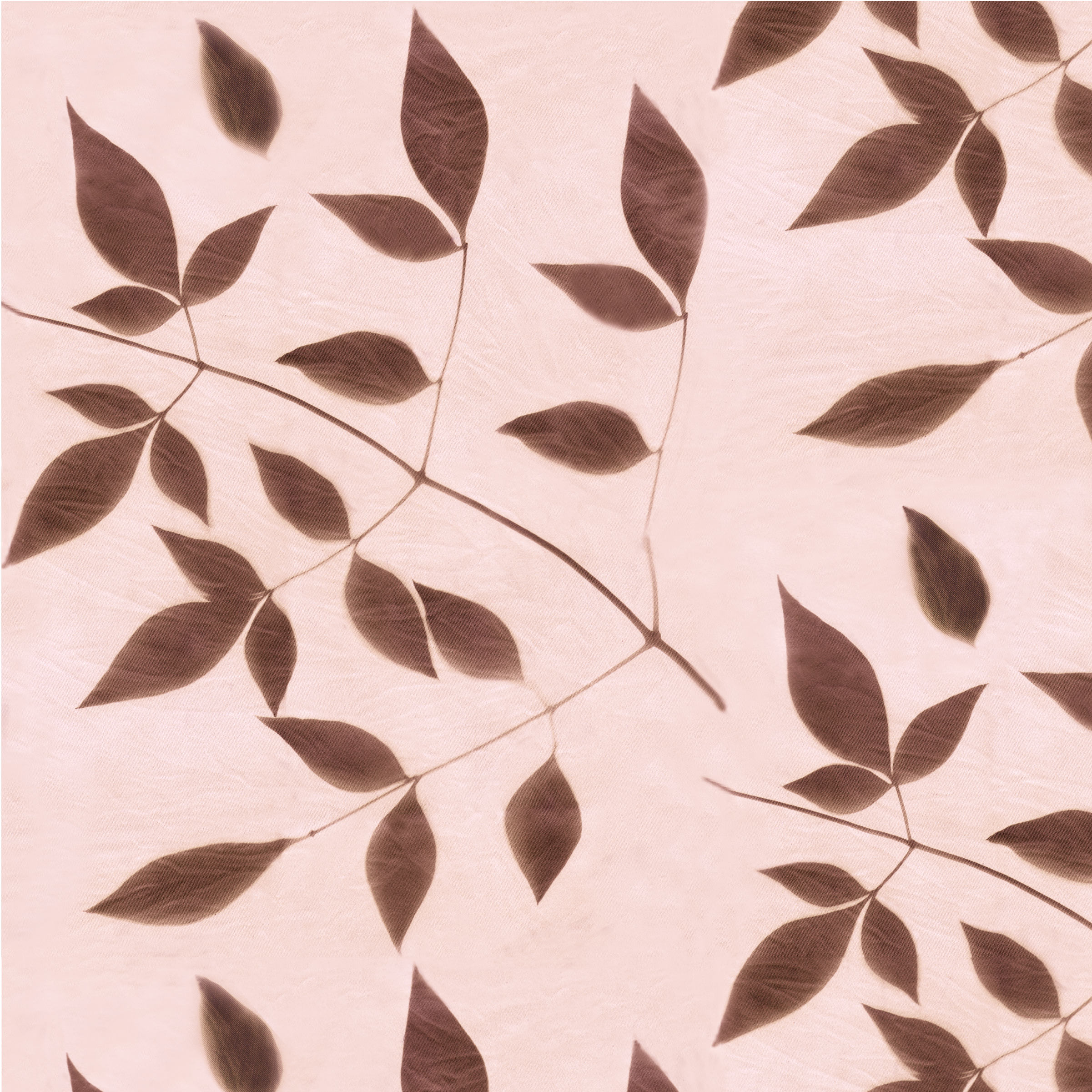 Nandina soft rose rpt 10.4 memo.png