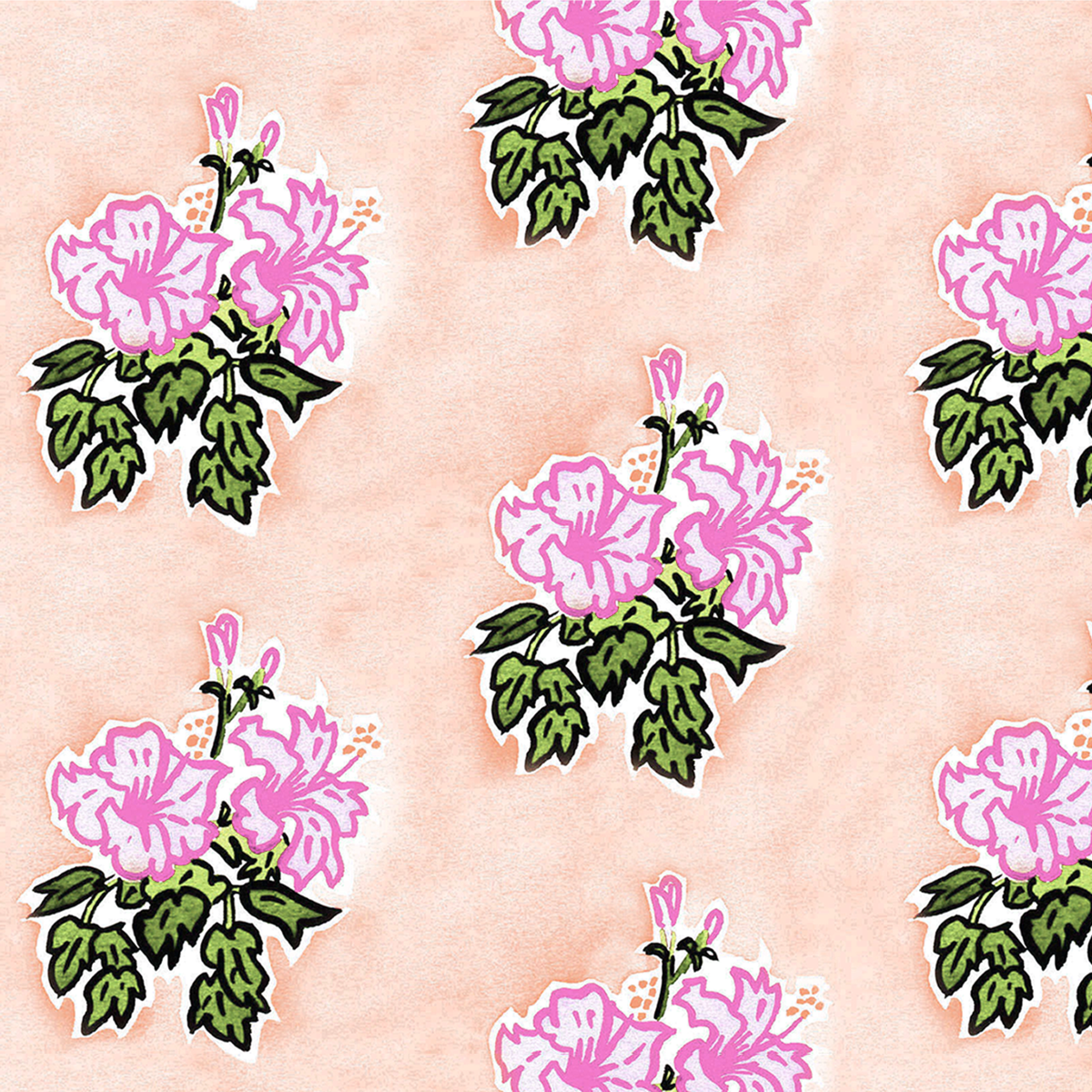 Hibiscus rpt lt peach 7.43 6.5 WP memo.png