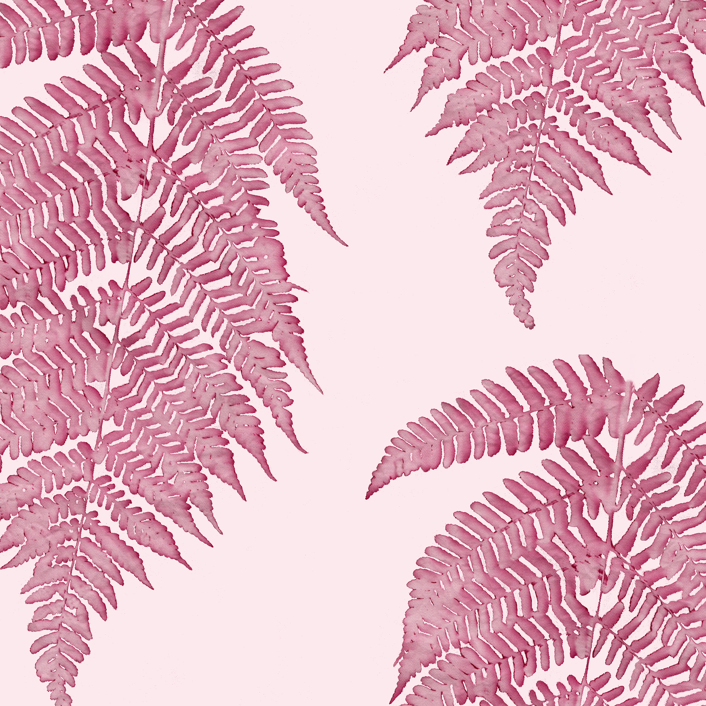 Single fern purp lav 10.4 c memo.png