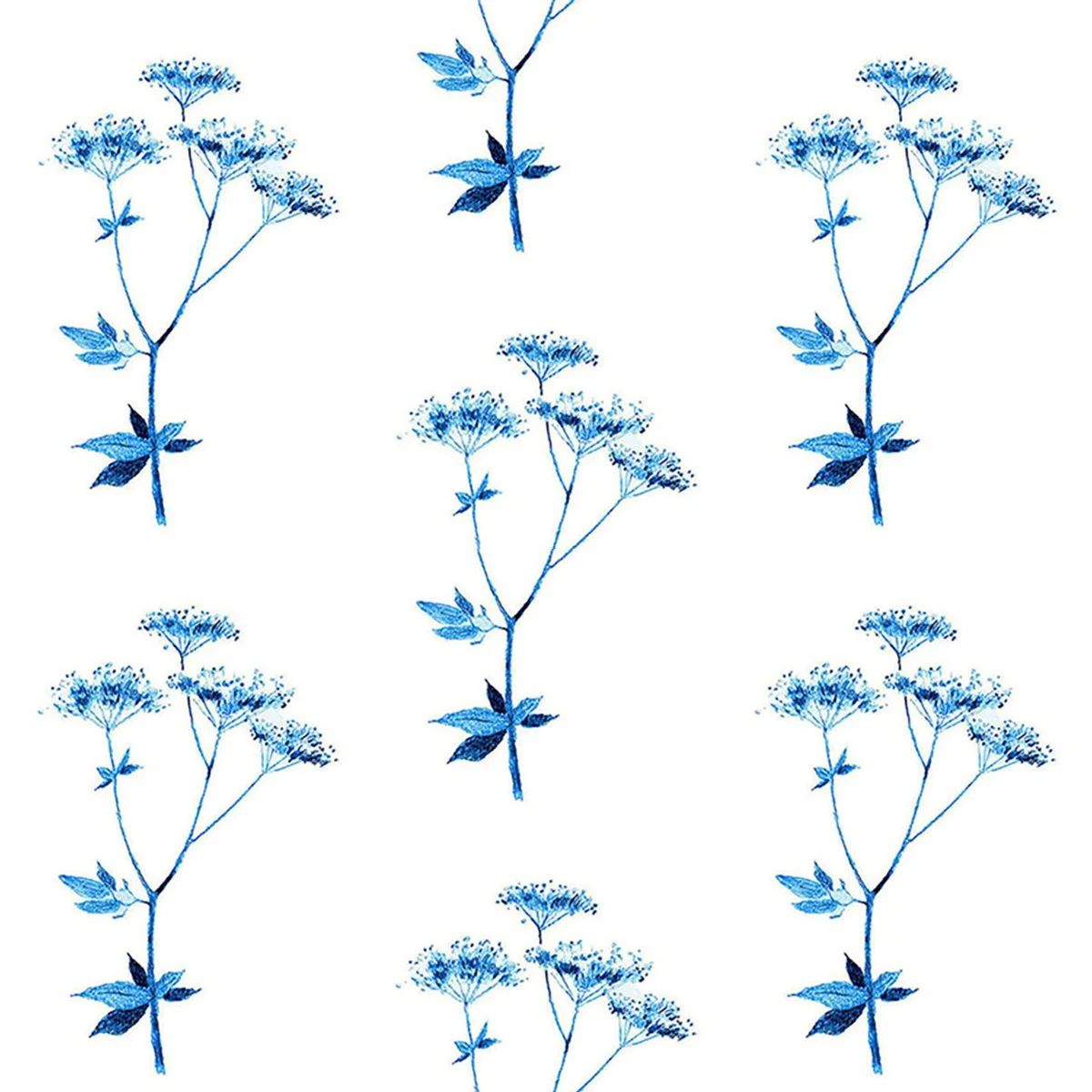 Lace blue 8.29 5.27 memo-01.jpg