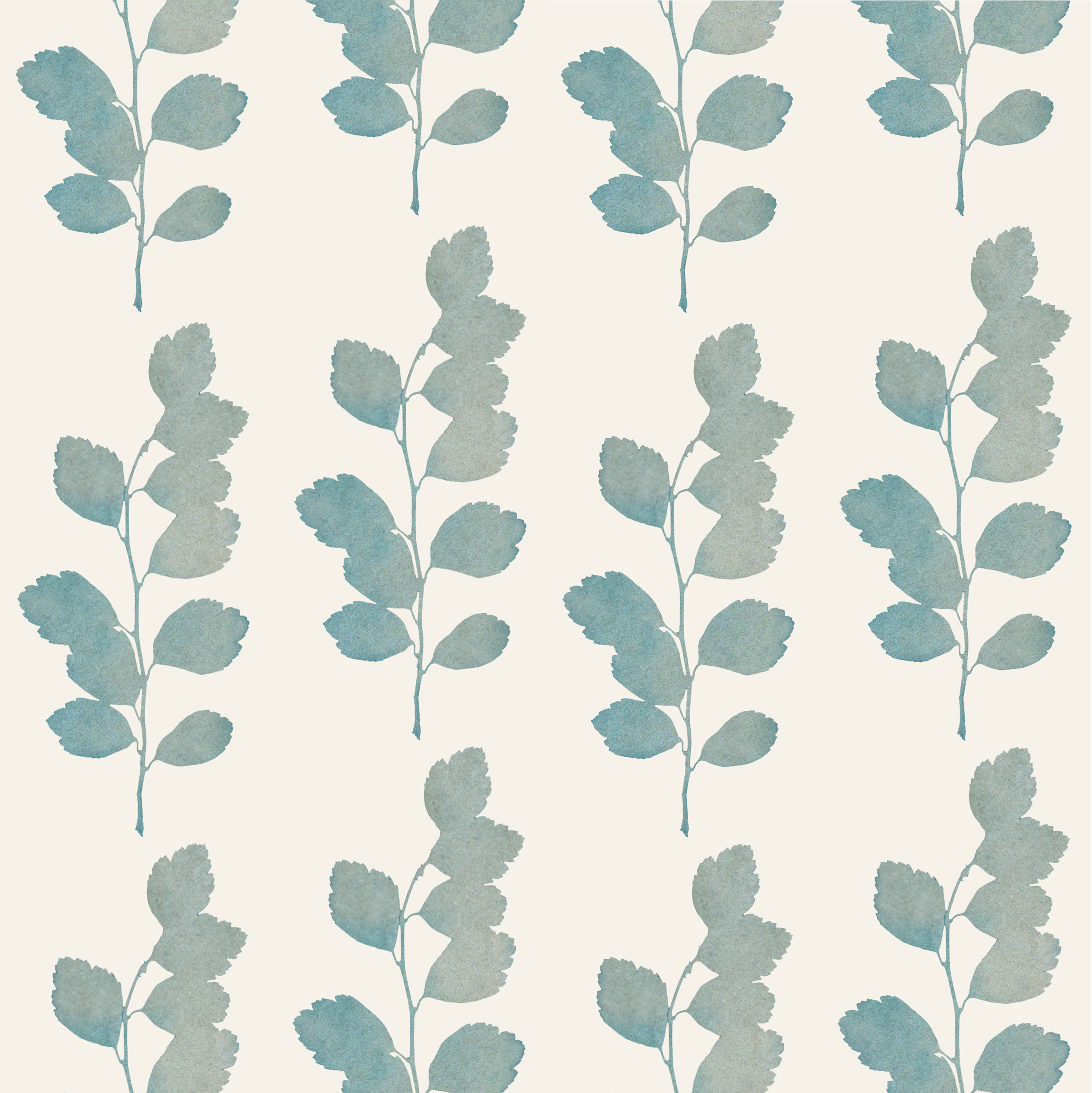 Scalloped leaf sage crm 4 WP memo.png