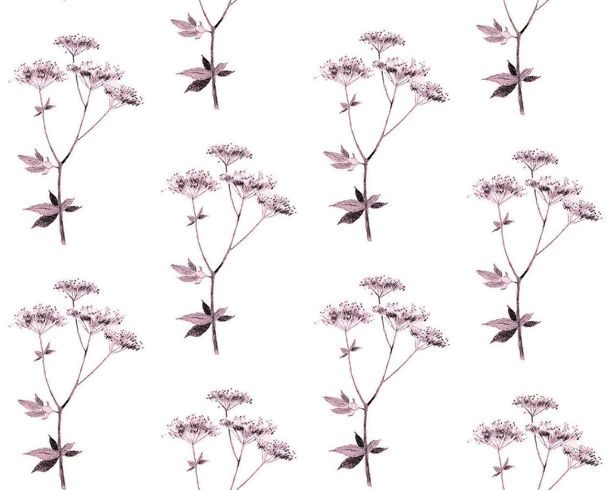 Lace cocoa plum 8.29.jpg