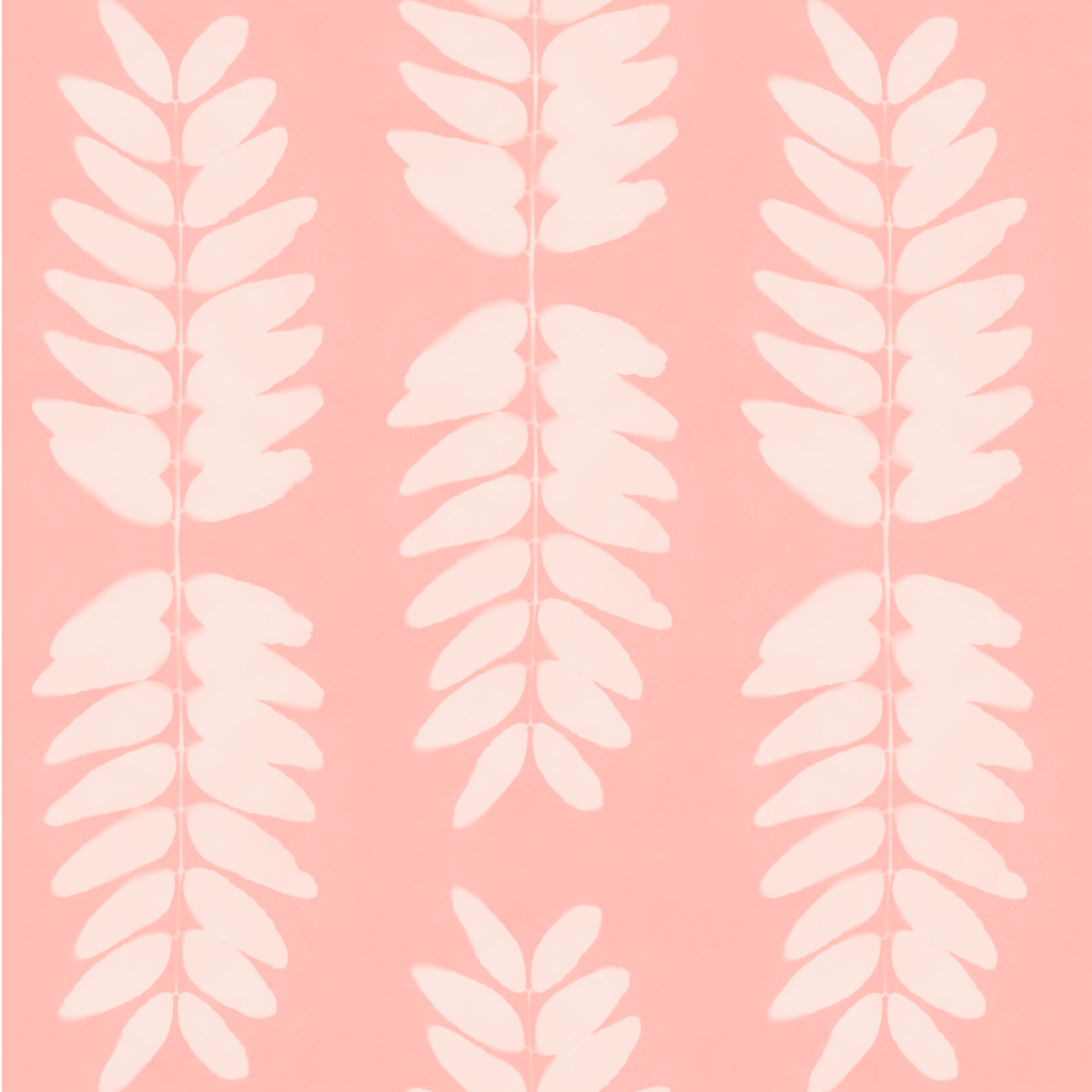 Honey locust wm pink 5.2 memo.png