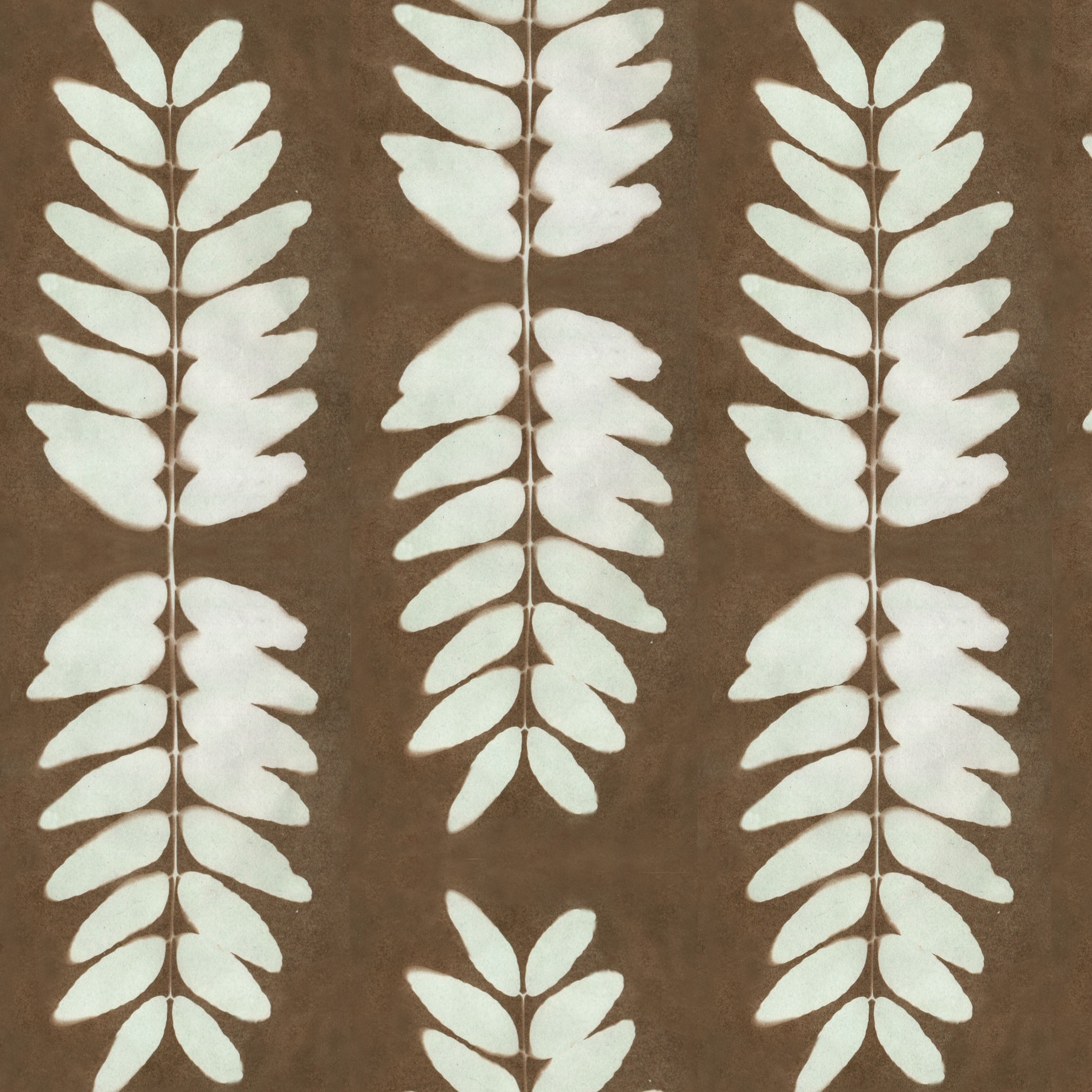 Honey locust brwn gr 5.2 memo.png