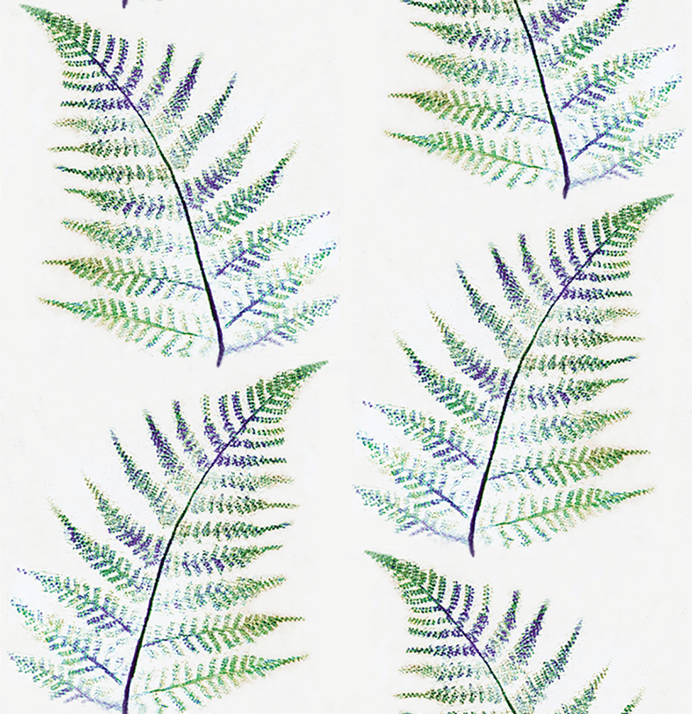 Fern trop green-6.5.png