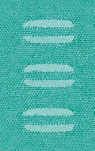 Macaron gr teal 2.15.png