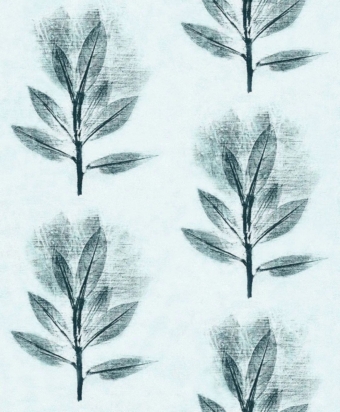 Mountain laurel evergreen 7.25.jpg