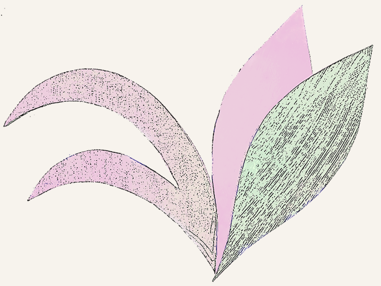 Lily 5.2 gr pink.png
