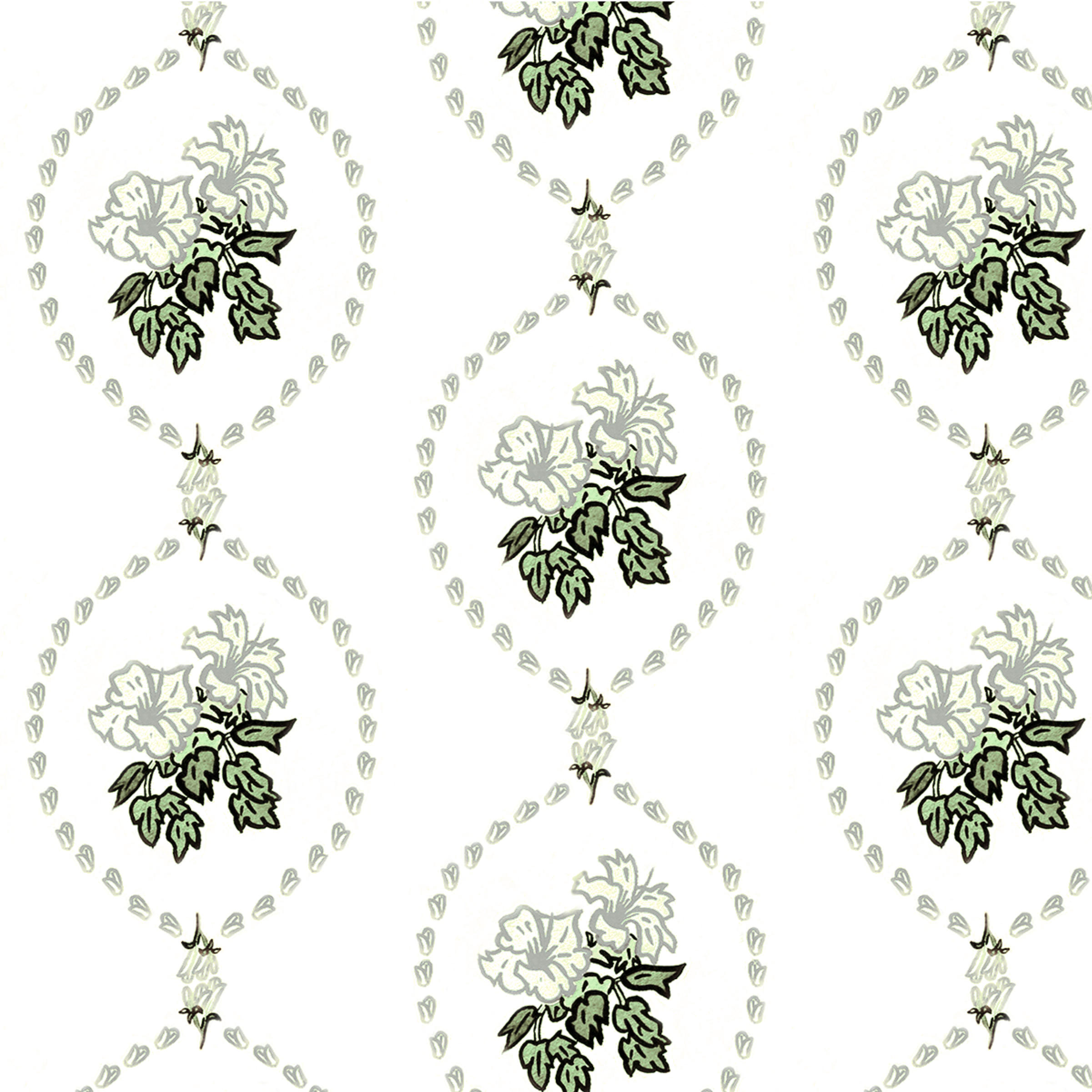 Hibiscus cameo sage 5.78 memo.png