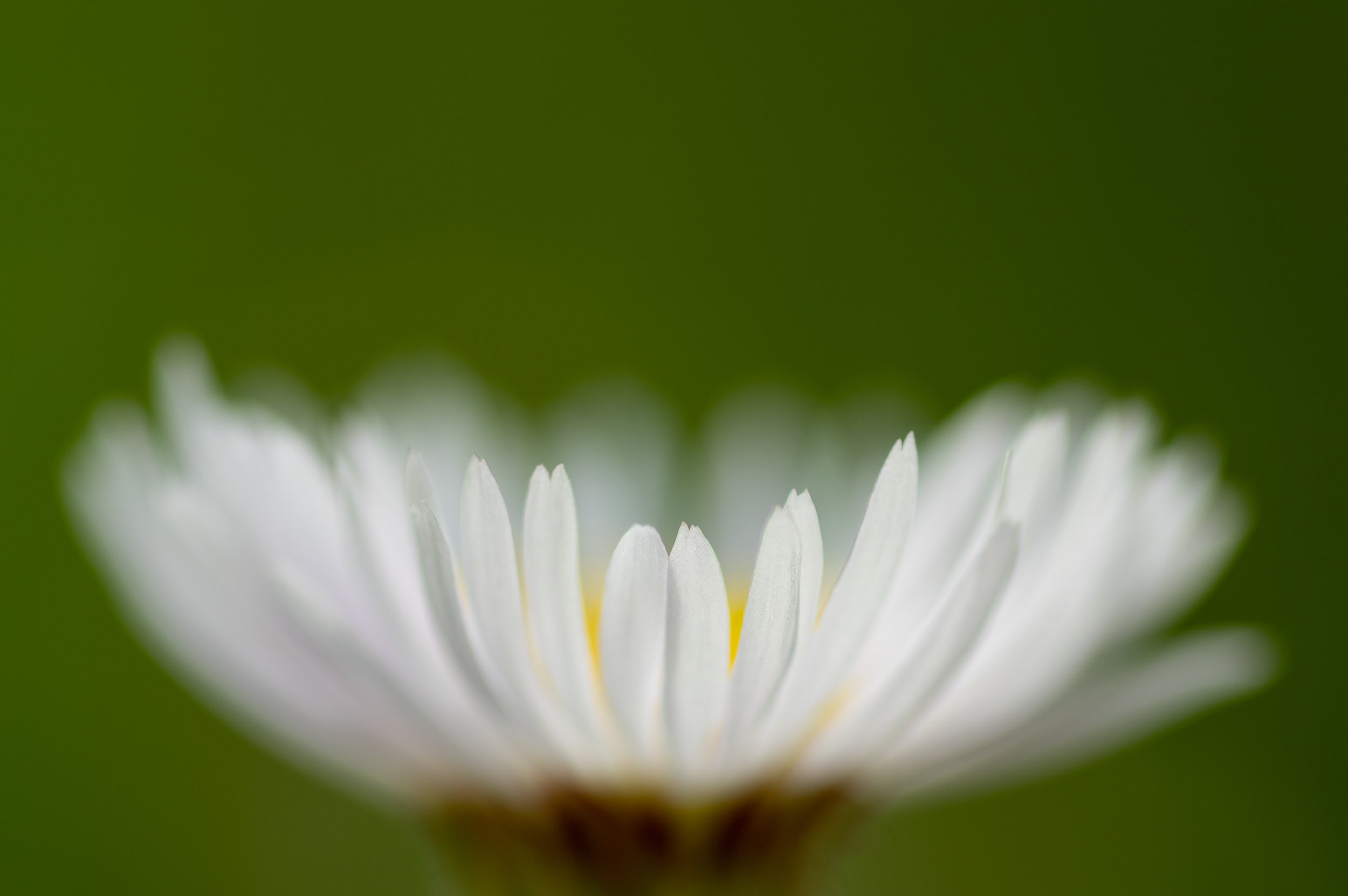 web-239.jpg
