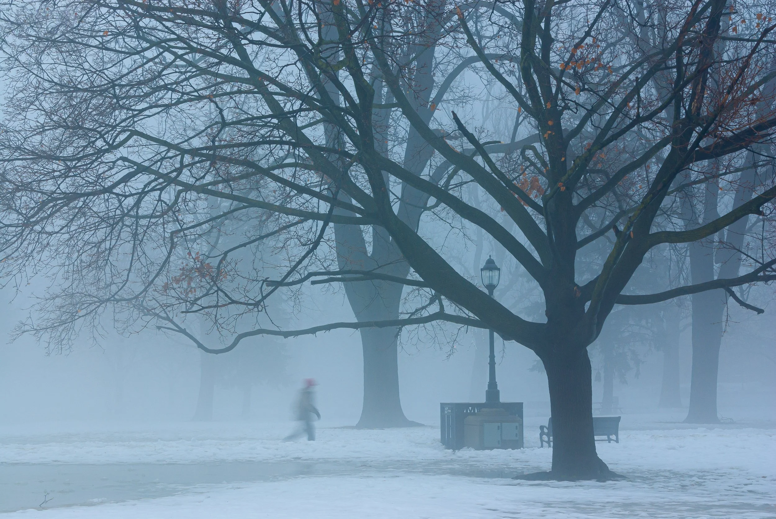 Victoria Park, London Ontario Canada
