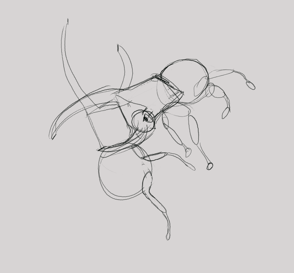 Concept Art for Mushi Melee