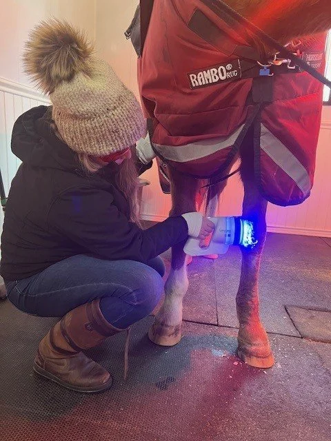 phovia fb picture.jpg