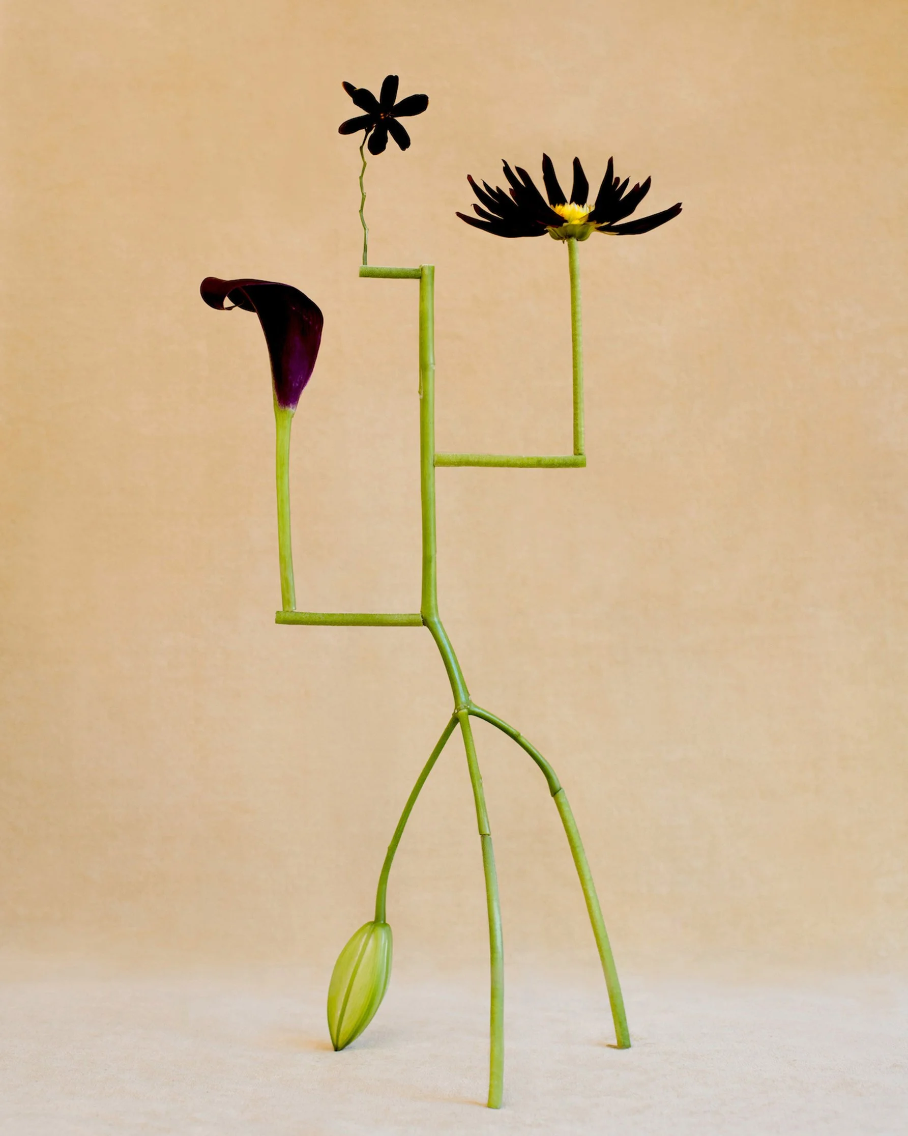 Shapeshifter no3.jpg