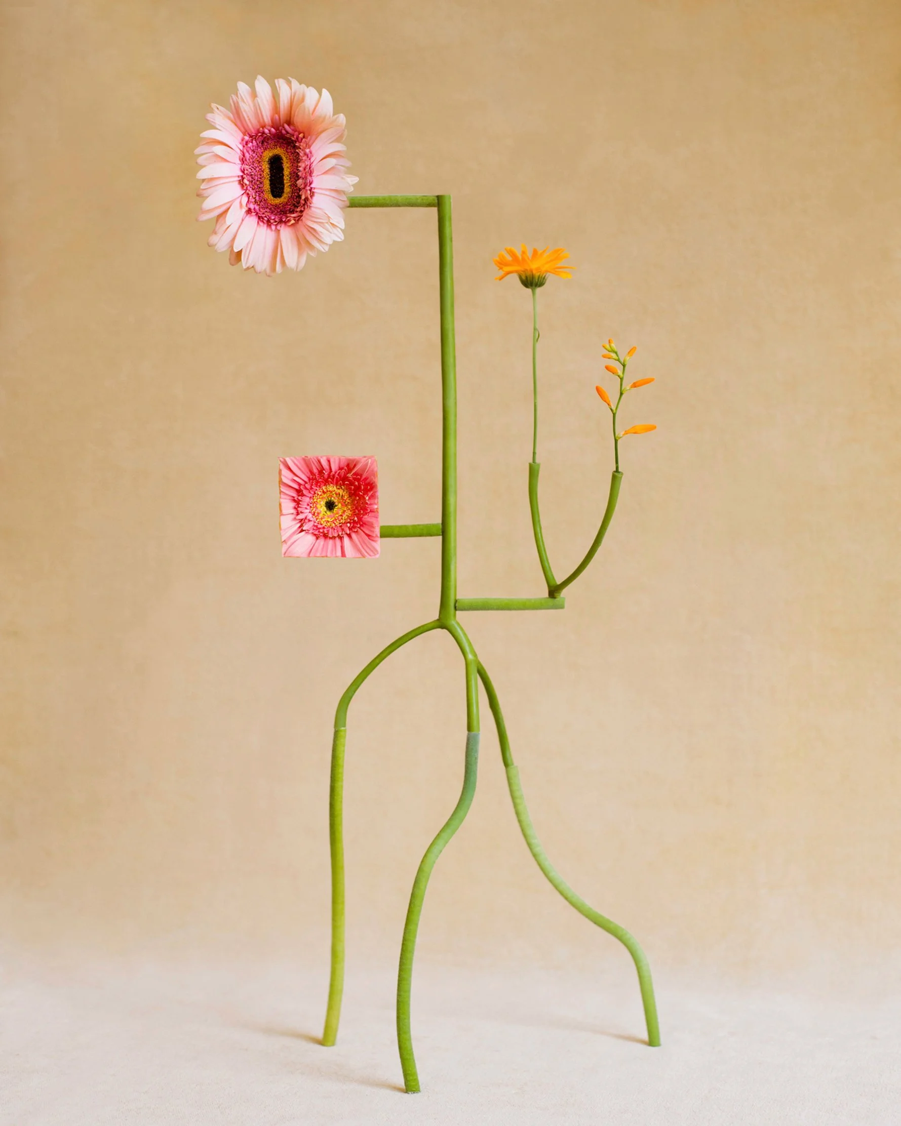 Shapeshifter no5.jpg