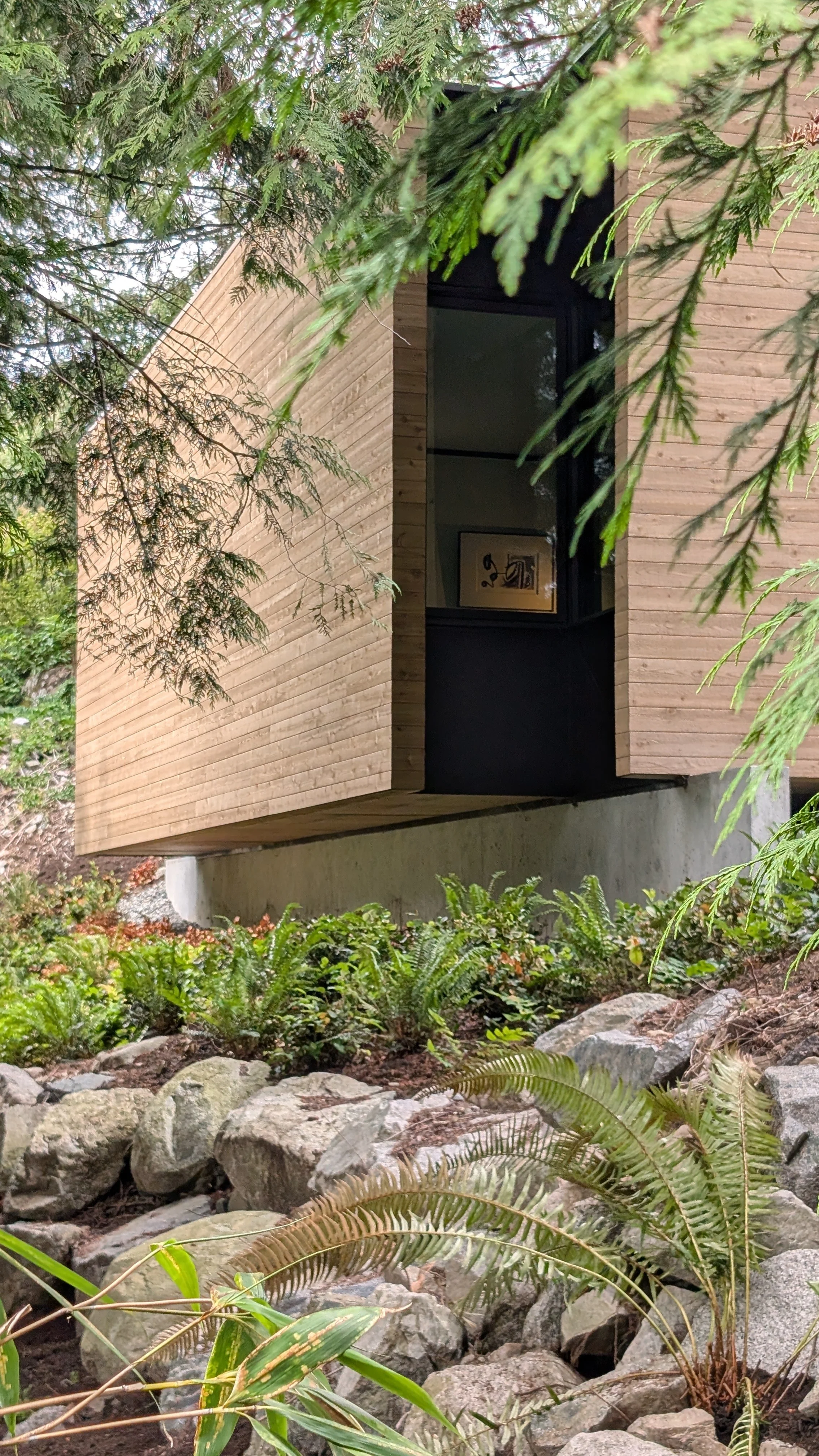 A modern house tucked among lush green foliage, with a wood exterior and black-framed window visible. Rocks and plants are in the foreground.
