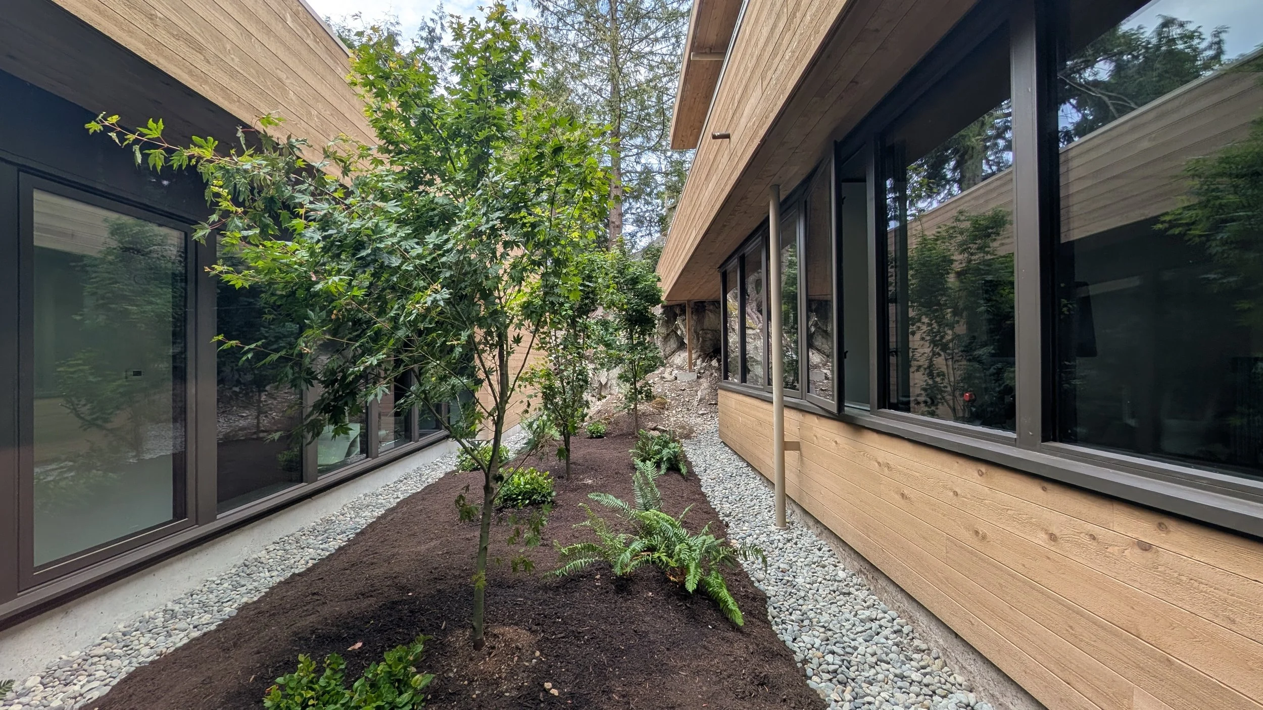 A modern house with large windows and wood siding, surrounded by landscaped garden with a small tree, ferns, and rock mulch.
