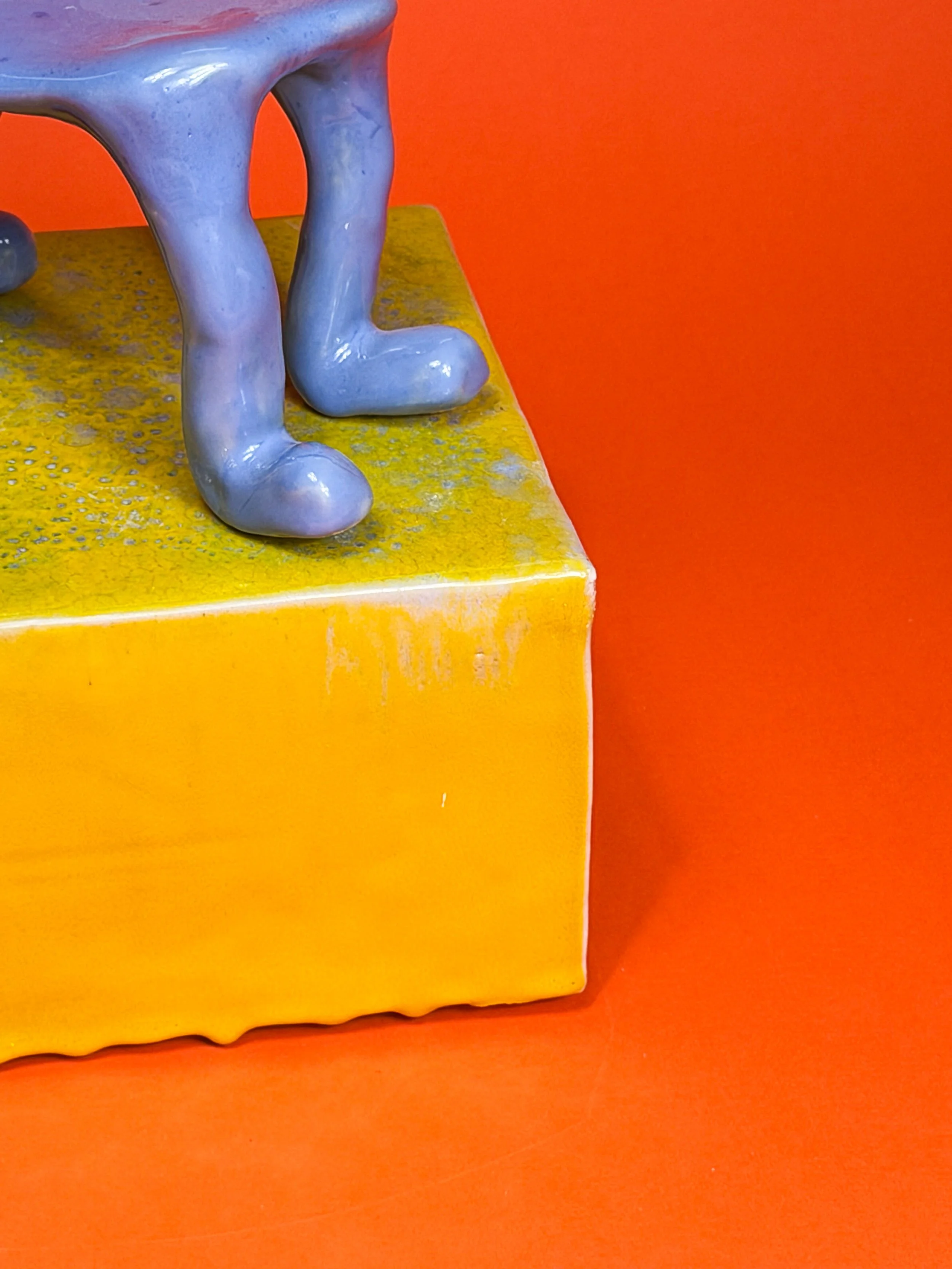 The carpet takes off  (4).jpg