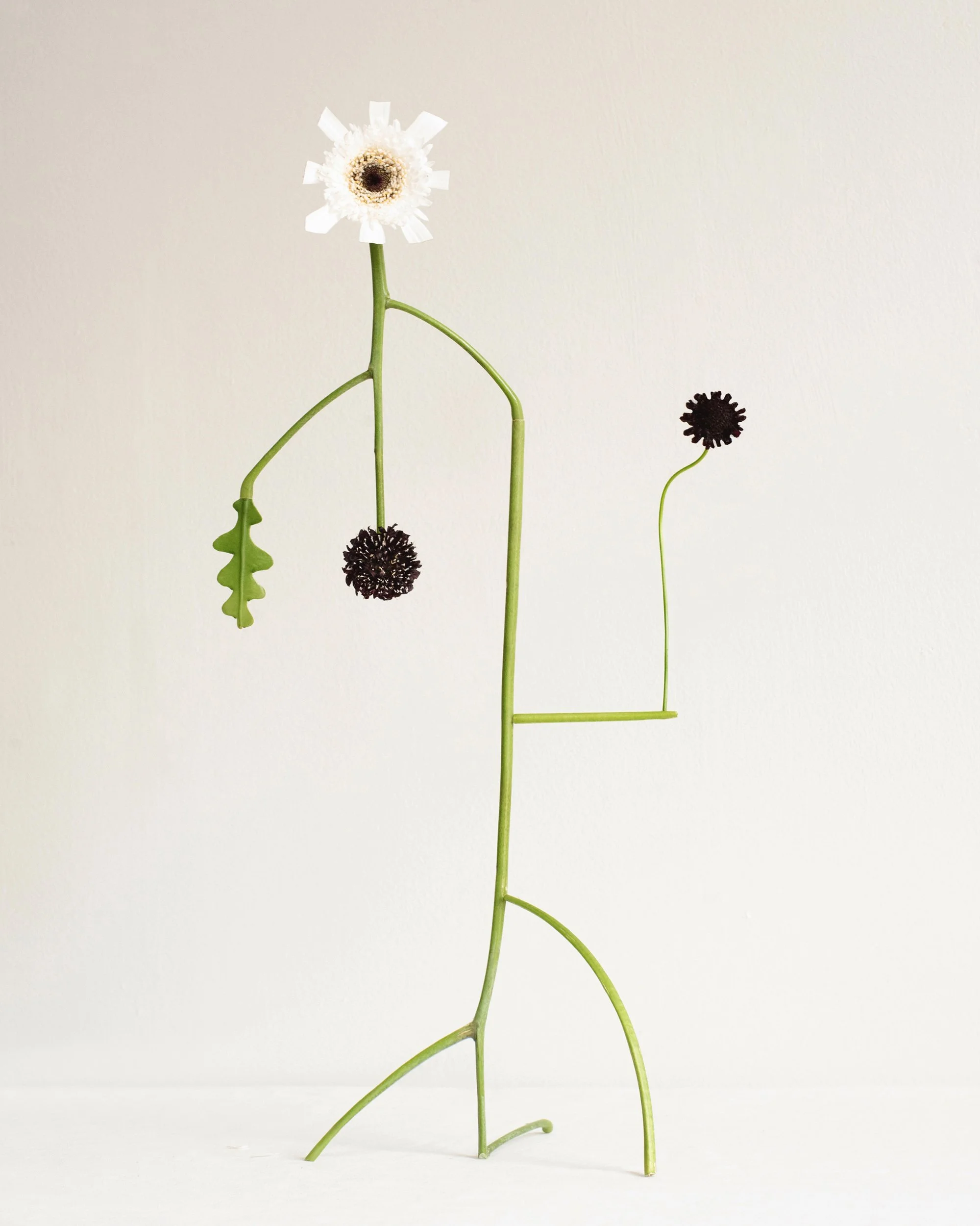 Shapeshifter no15.jpg